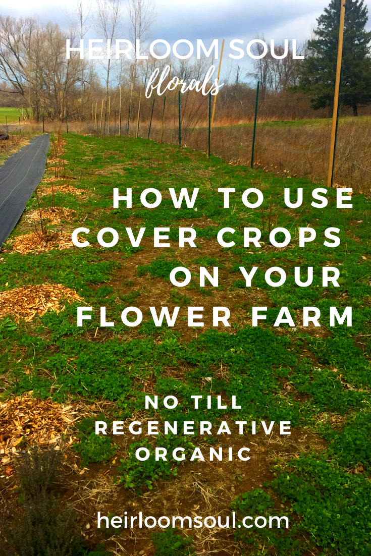 How to Cover Crop and Use Cover Cropping to Build Soil Organically