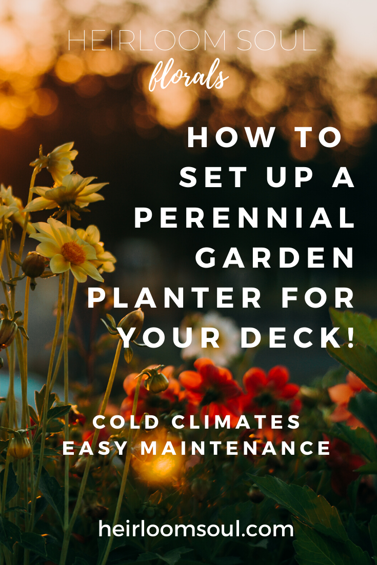 How to Design a Perennial Planter for Your Backyard or Deck in Cold Climates