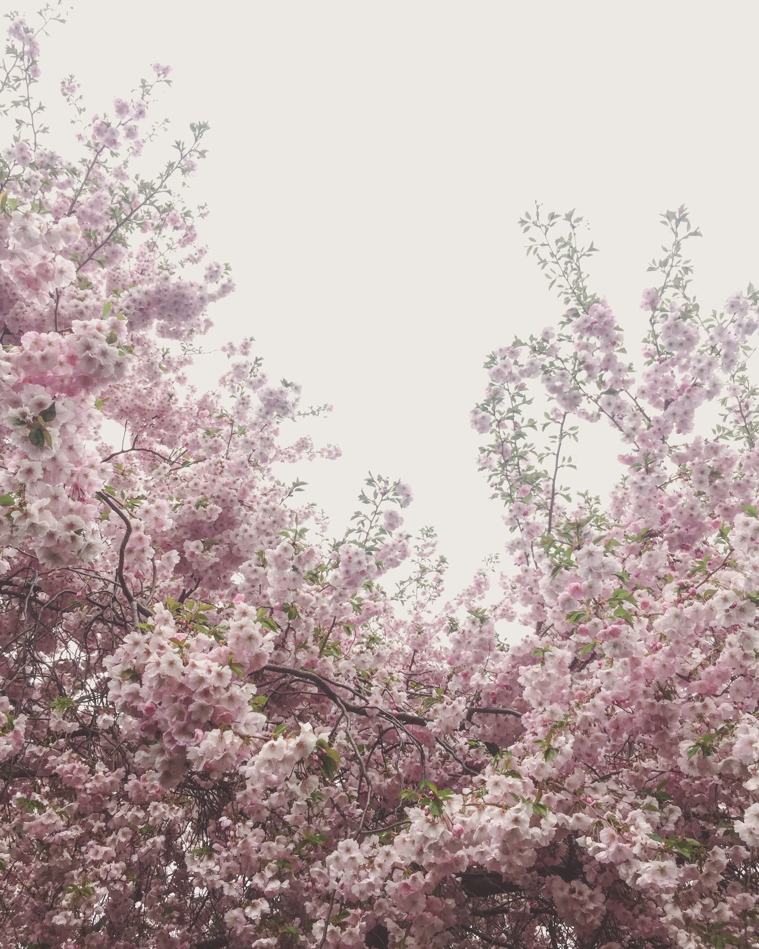 An Ode to 33 Years Around the Sun