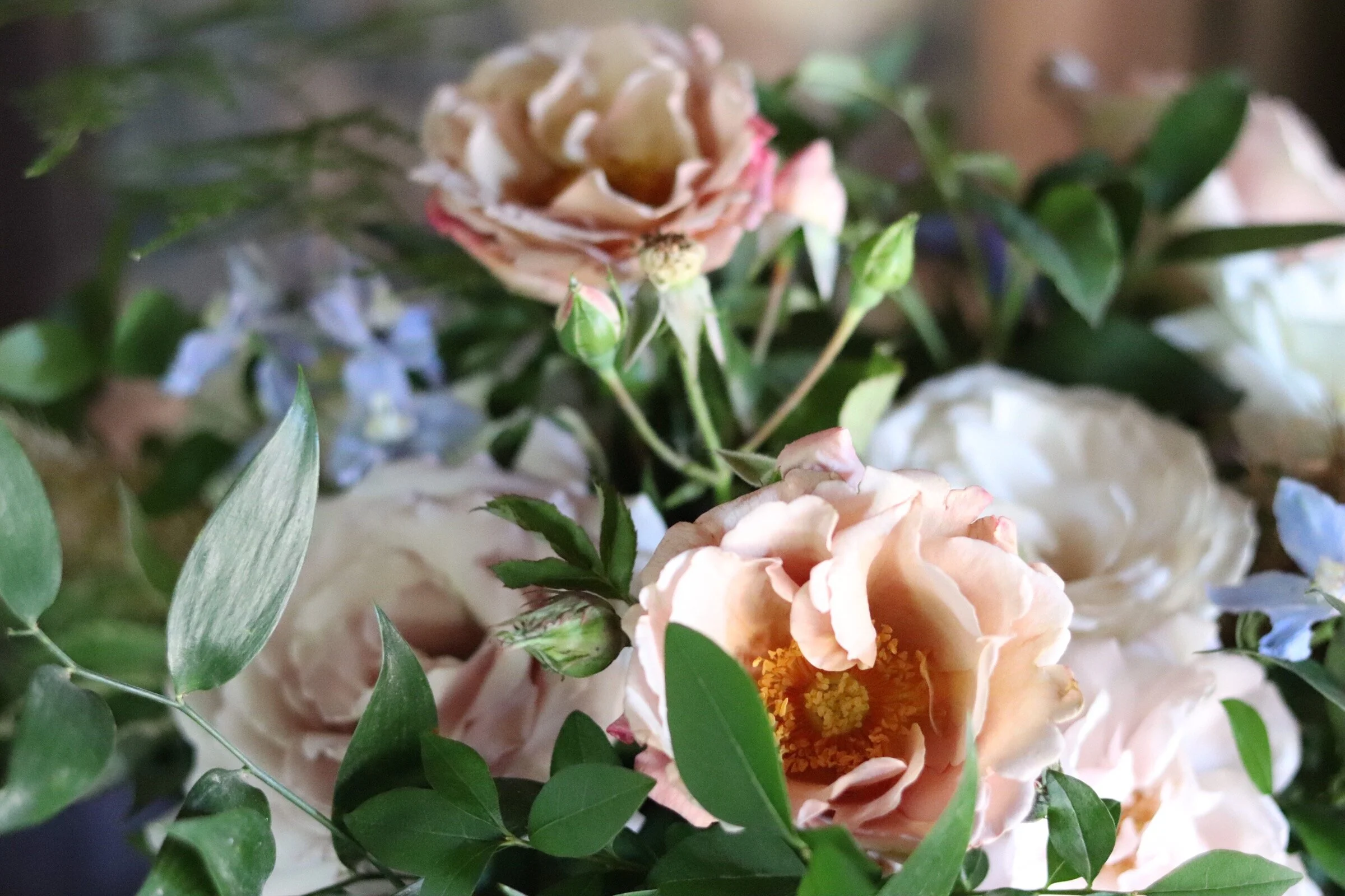 Vase Arrangements of 2020