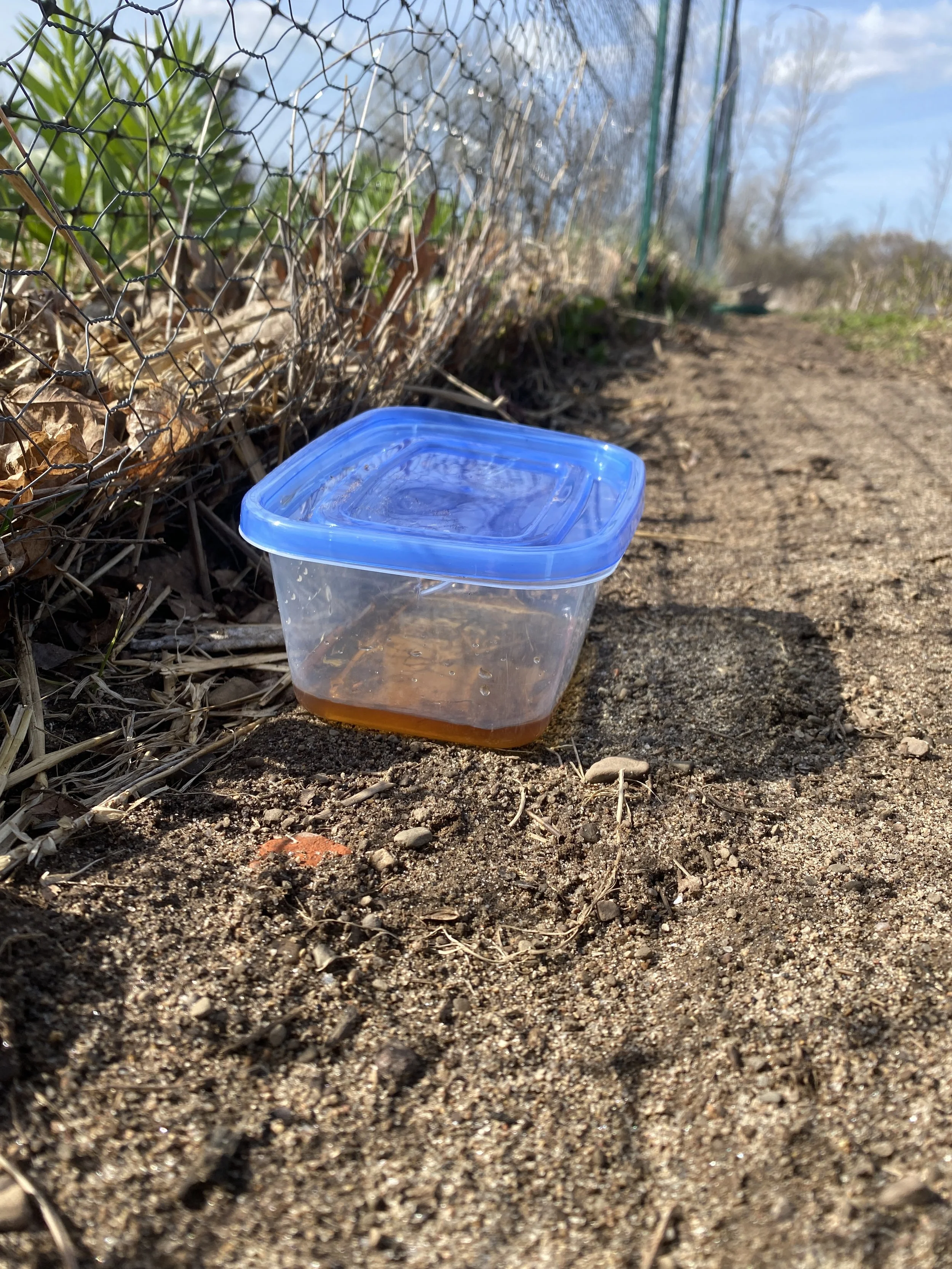 How to Make Predator Urine Last Longer After Rain