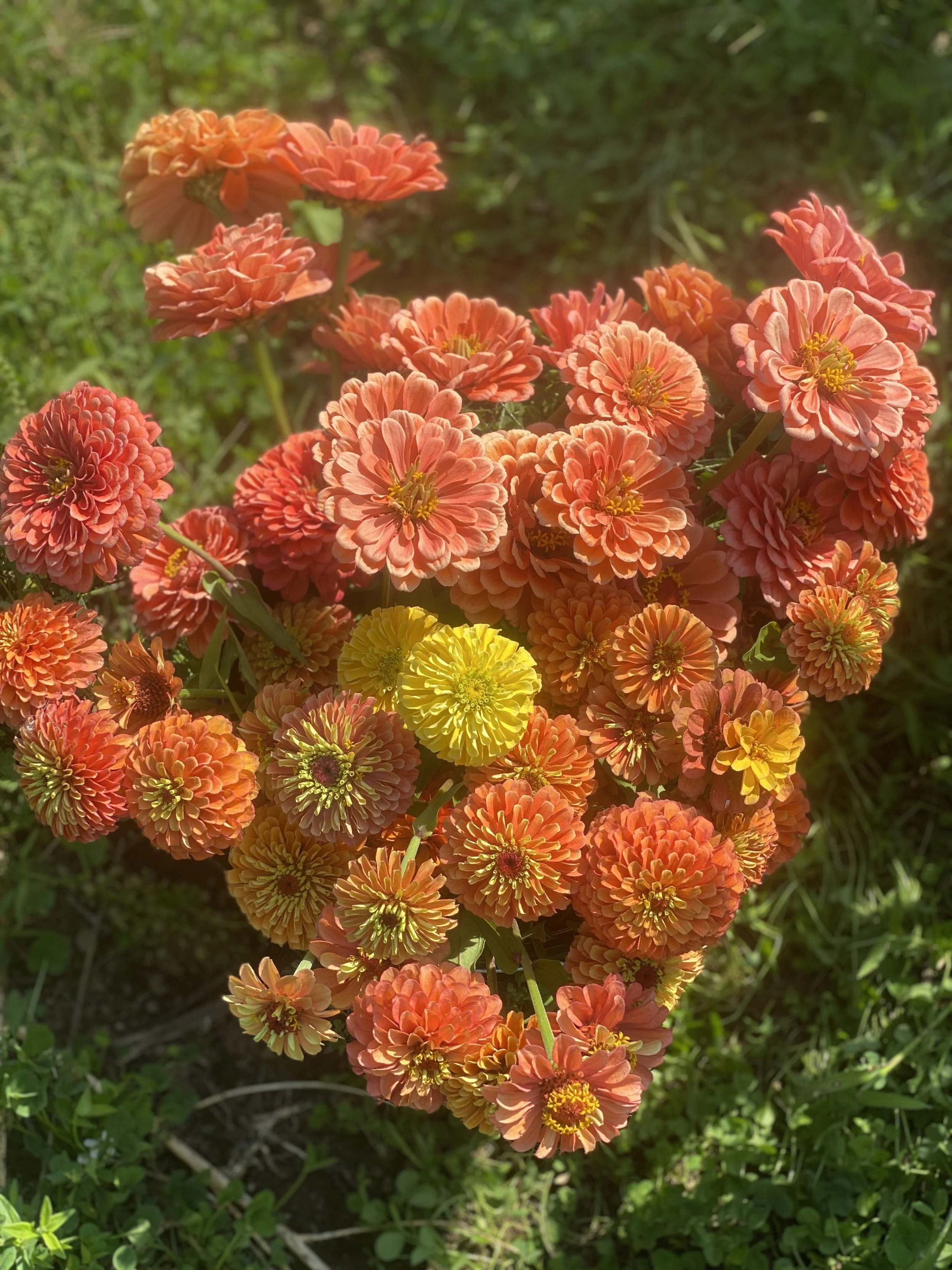 10 Things I Love Having on the Farm