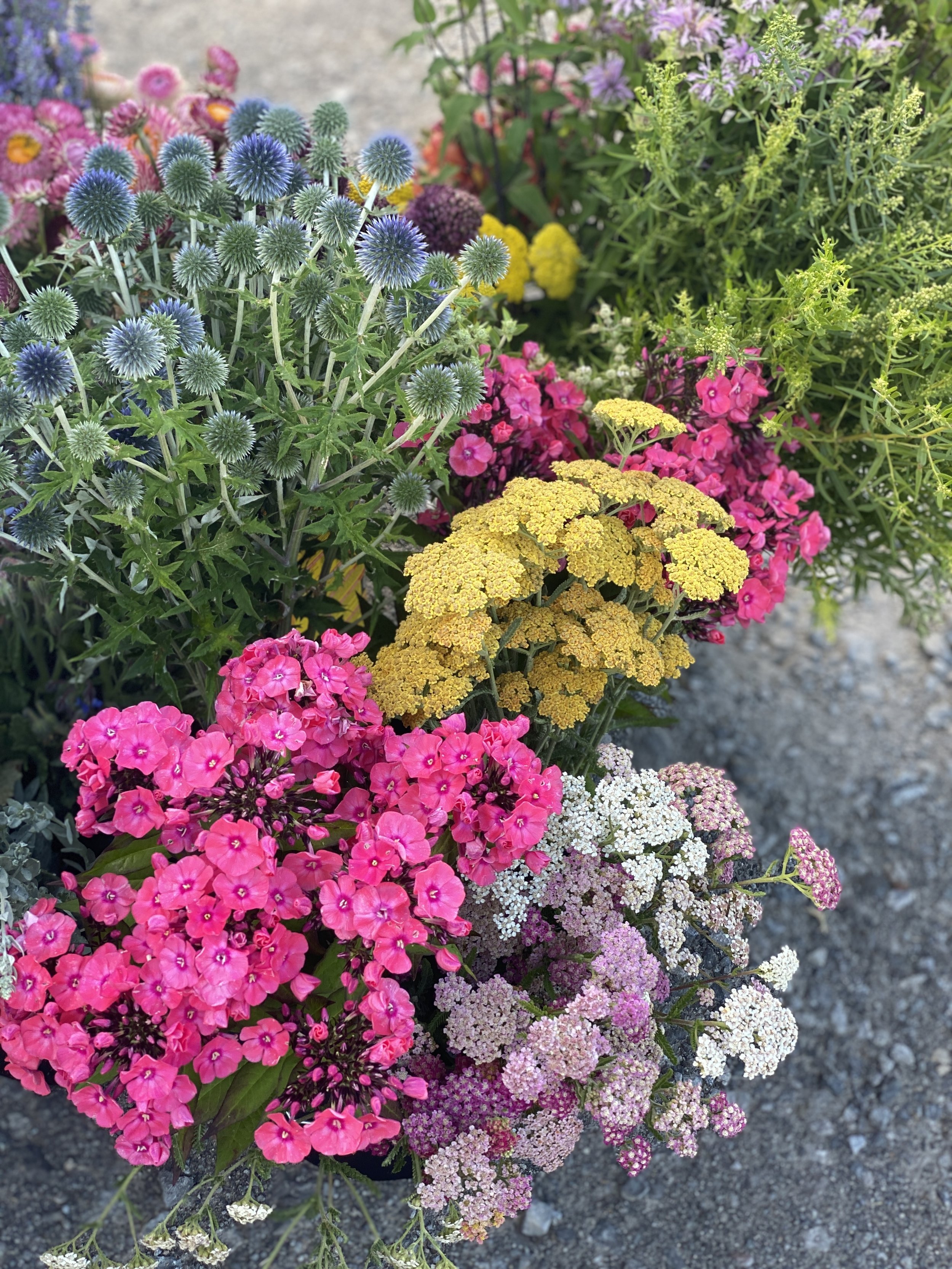 Flower harvest buckets.jpg