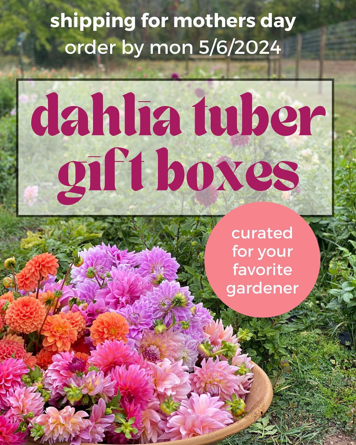 Free stem count guide for diy floral design