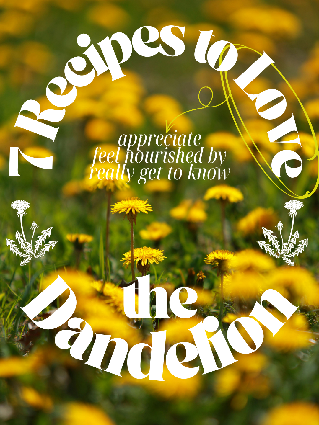 7 Spring Dandelion Recipes for Strengthening Relationship with Earth