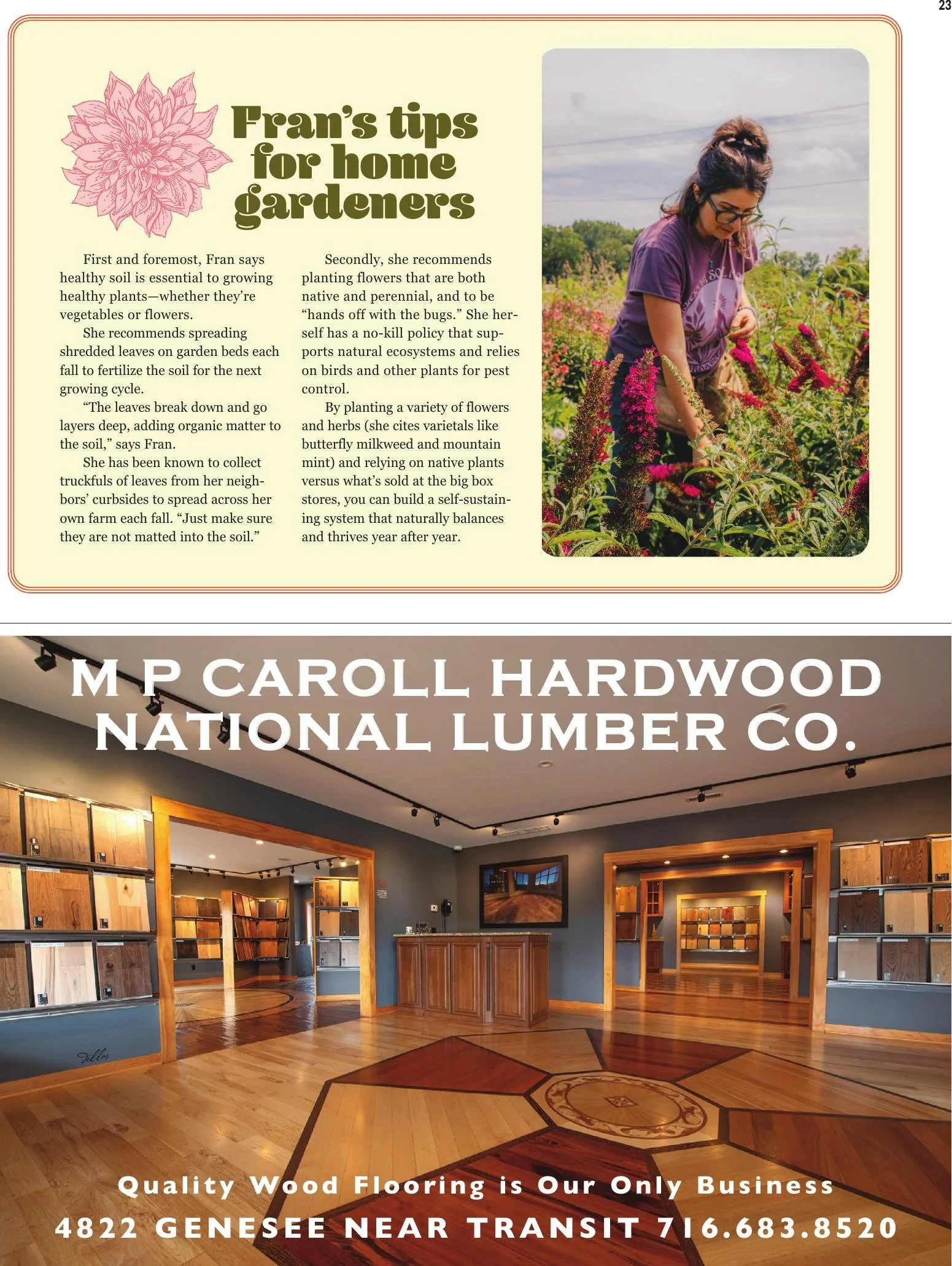Heirloom Soul Florals in Buffalo Magazine. Flower farm in WNY with disco ball in greenhouse. Flower farmer in WNY sells bulk buckets for DIY weddings. Wholesale flowers from a local flowers farm.