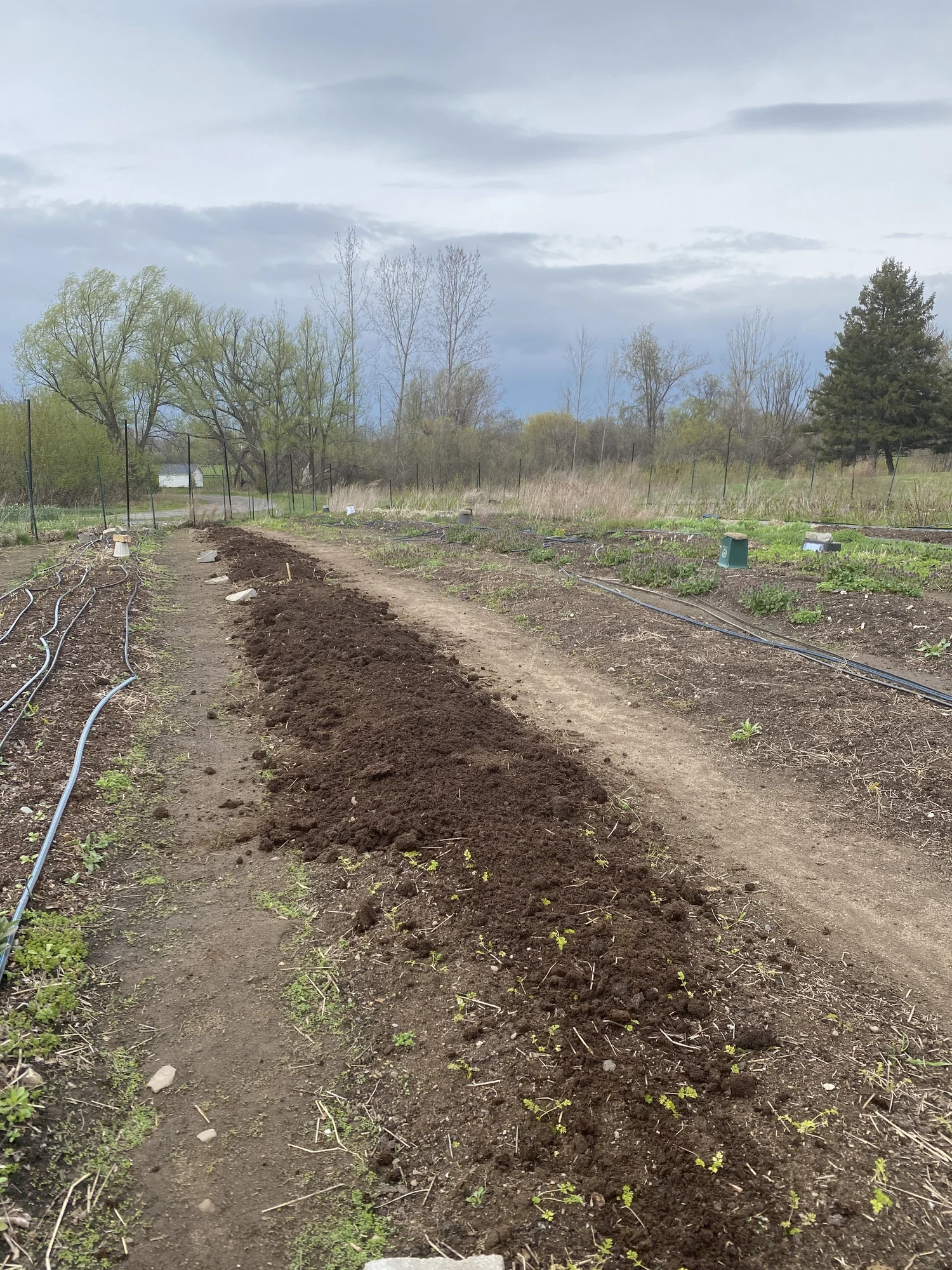 All About Using Compost in the Garden — Heirloom Soul Florals