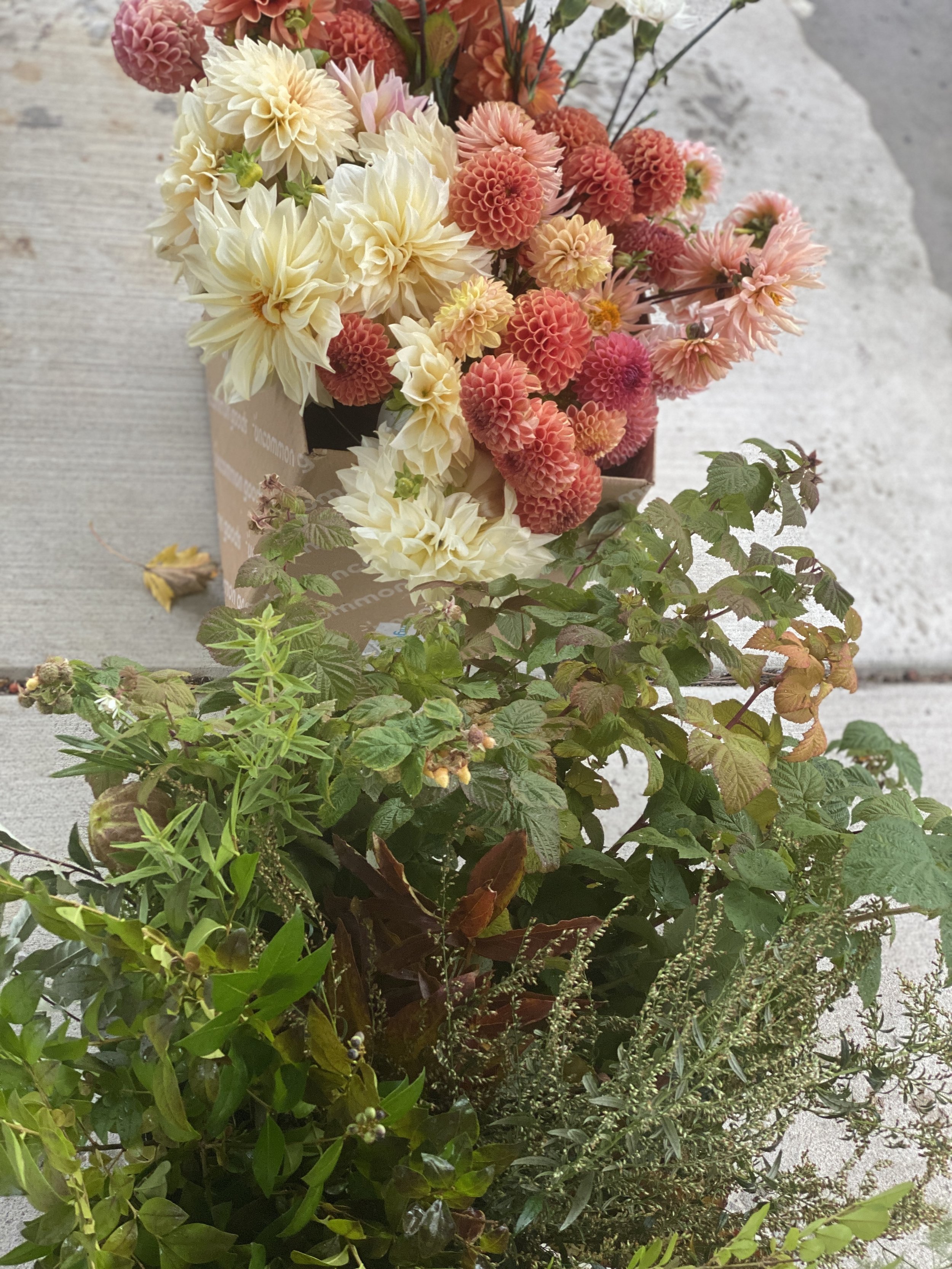 LocallyGrown Bulk Flowers and Greenery for DIY Weddings and Events in