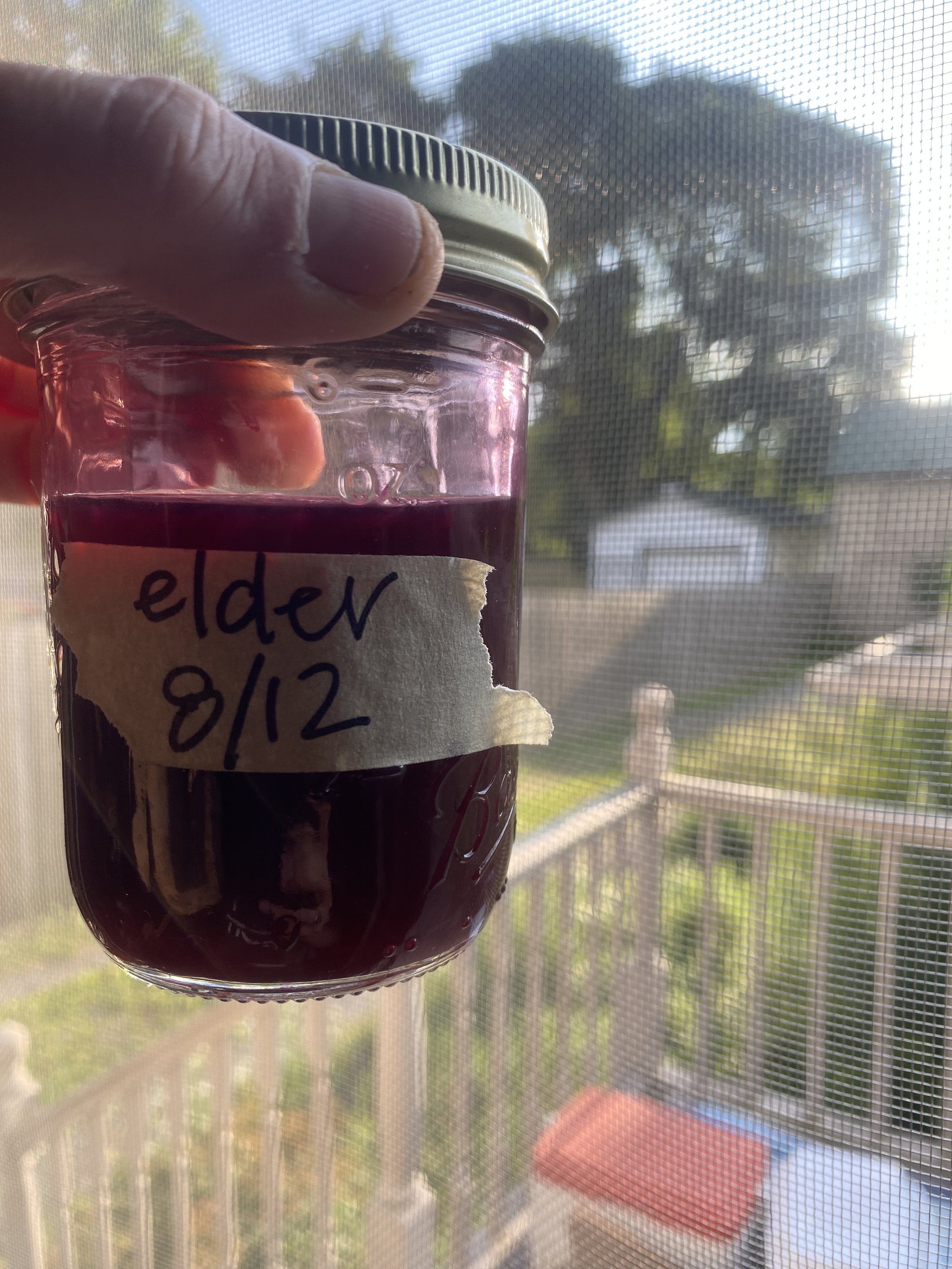 Low Sugar Elderberry Syrup Recipe - homemade elderberry recipes - homemade elderberry syrup for immune health