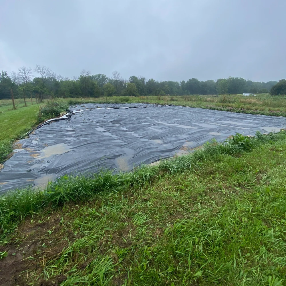 How to Use Silage Tarps to Kill Weeds — Heirloom Soul Florals