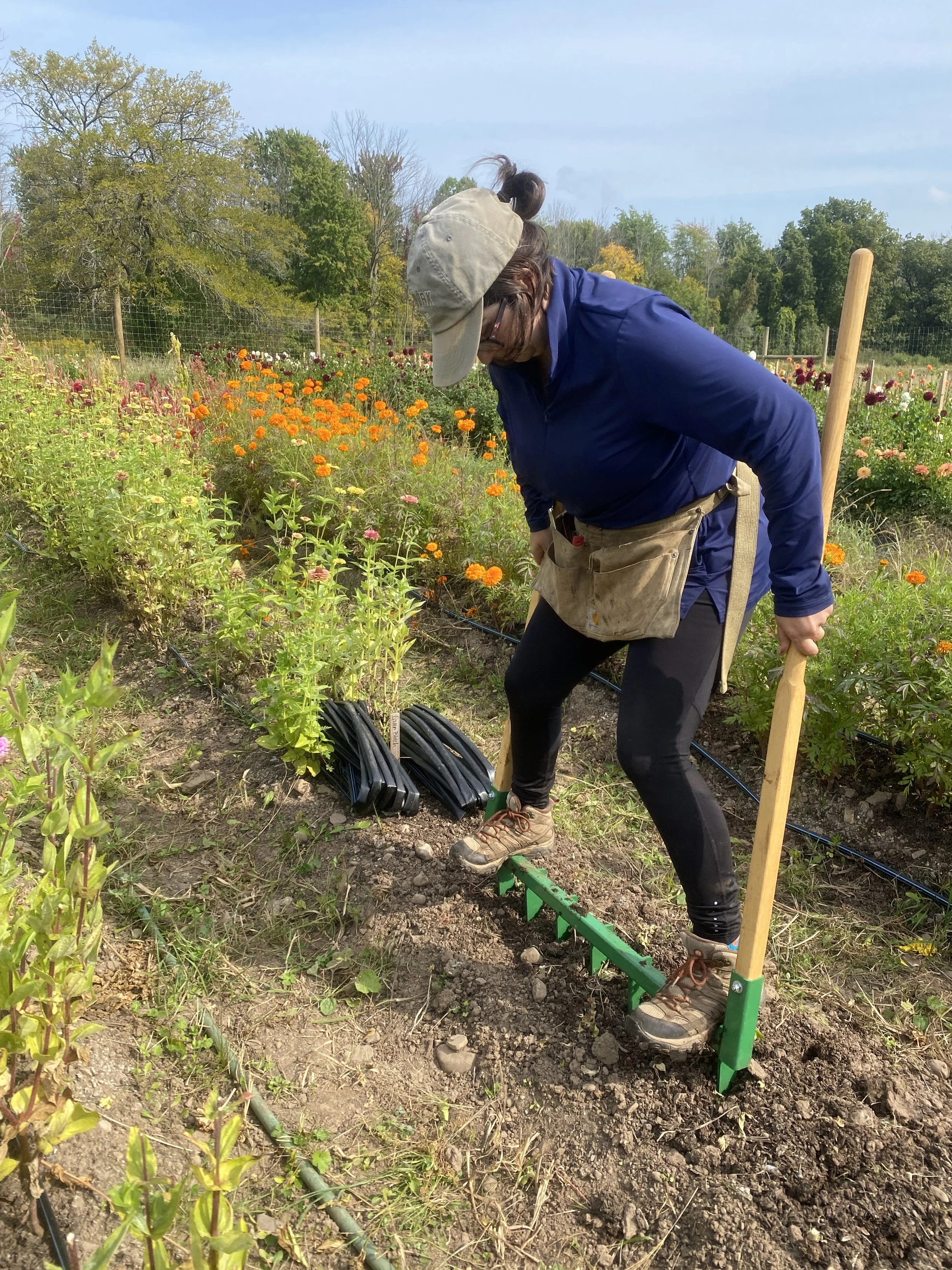 How to Till Soil Without a Tiller: Best No-Till Soil Prep Technique