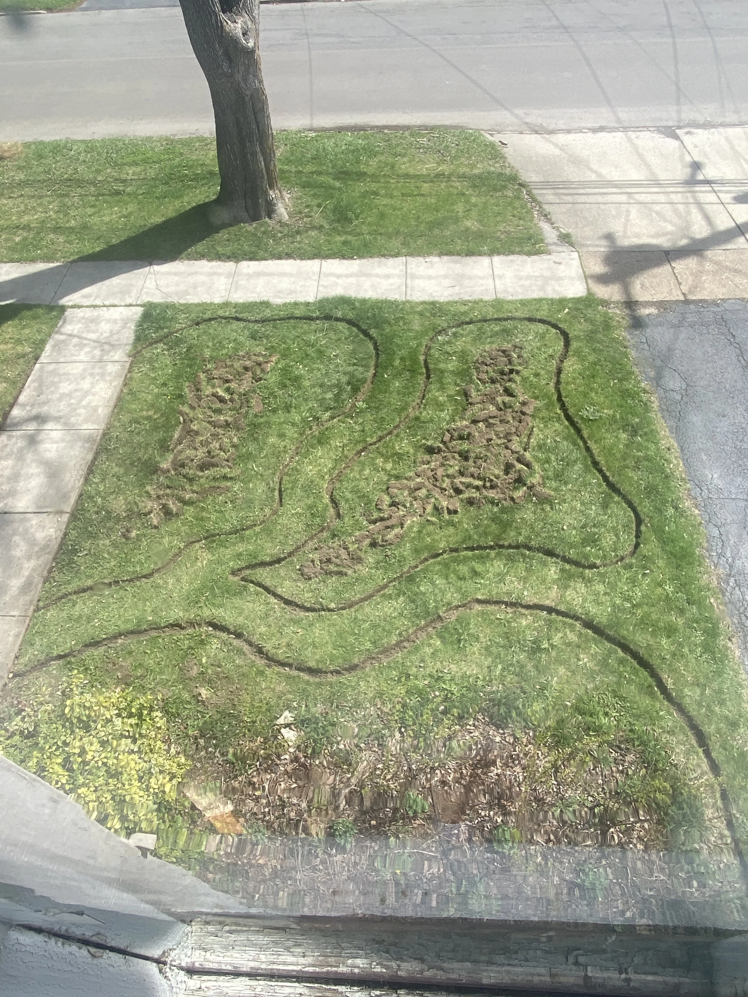 Front Yard Glow-Up Part 2: Designing and Edging Garden Beds for a Front Yard Pollinator Garden