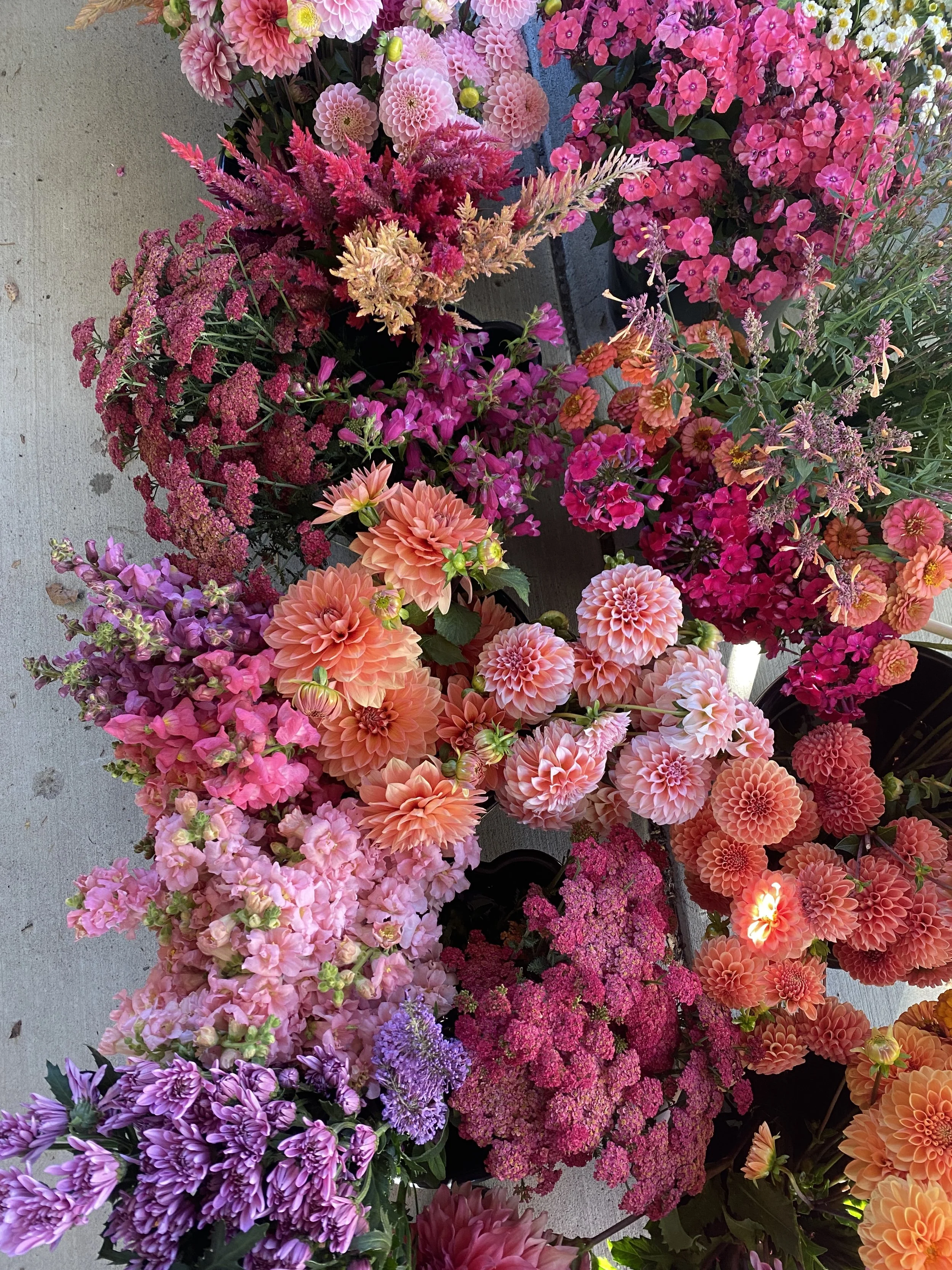 Bulk Flowers for DIY Weddings in Buffalo NY - Order bulk flowers from a flower farm in WNY - Where to buy bulk flowers for weddings in Buffalo NY - Heirloom Soul Florals bulk flowers