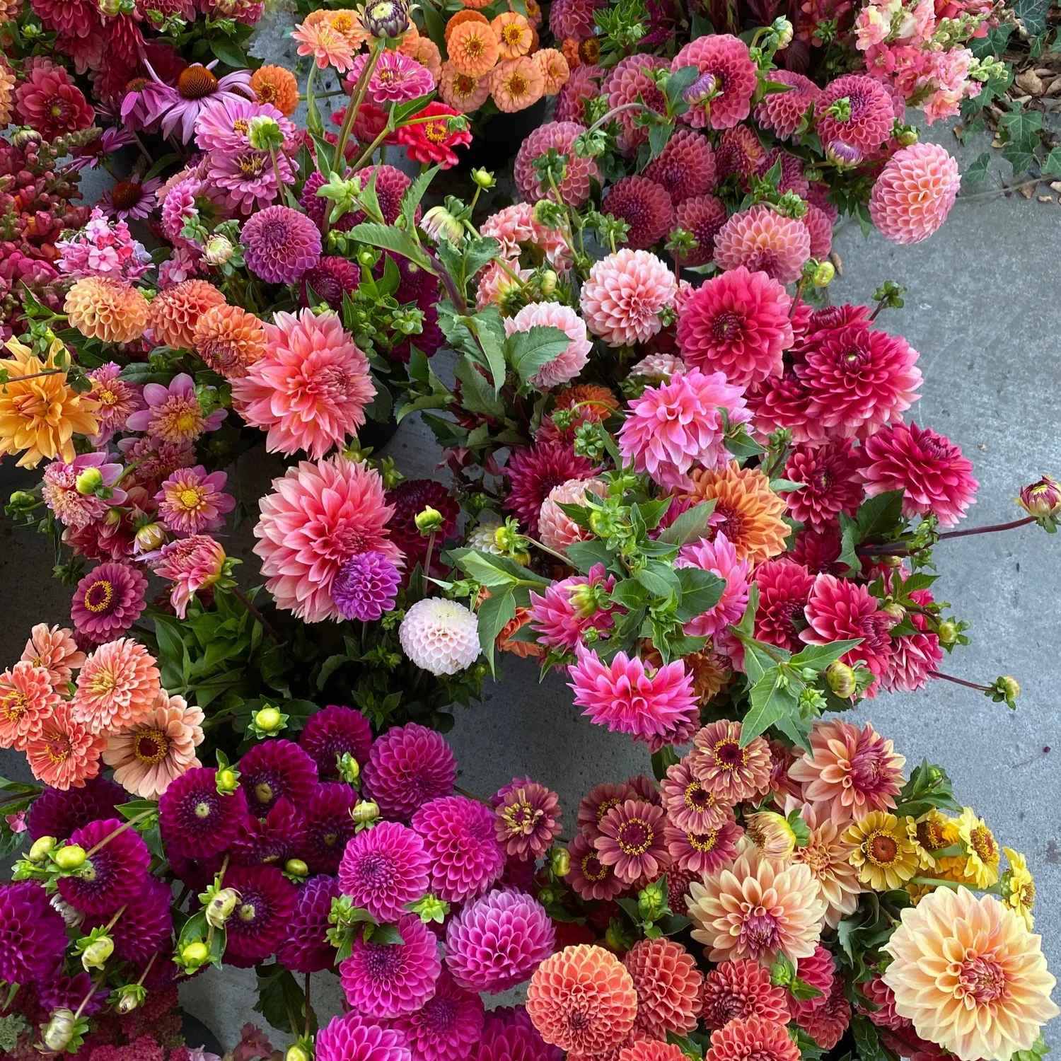 Bulk Flowers and Wedding Floral in Buffalo, NY - Heirloom Soul Florals Bulk Flowers and Wedding Floral in Buffalo, NY - Heirloom Soul Florals
