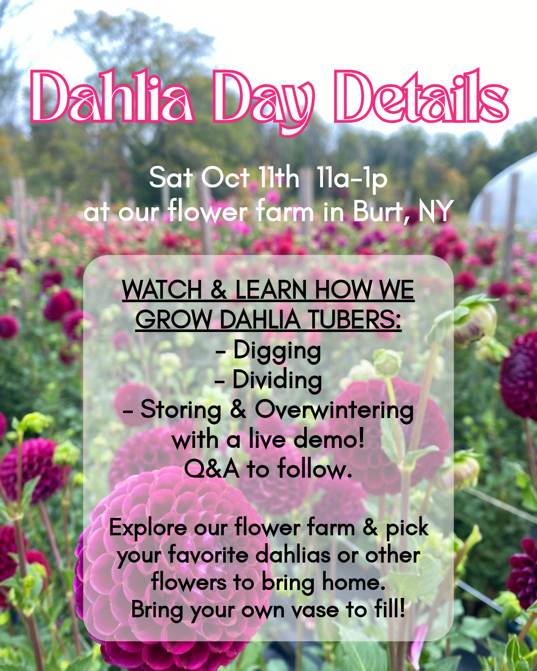 Dahlia Day 2025-2.png