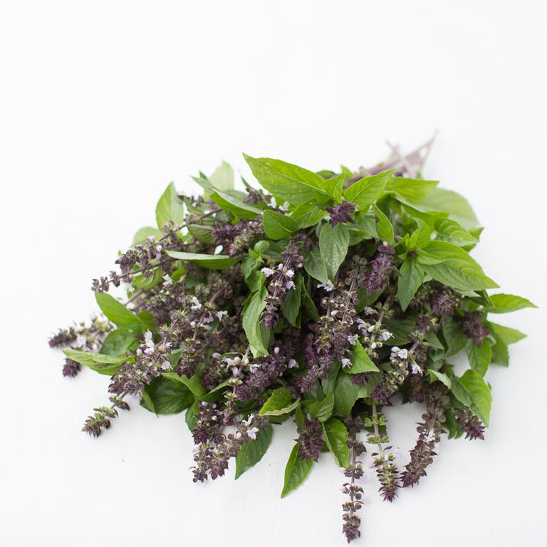 Growing basil as a cut foliage, Fragrant basil for cut foliage, best basil for cut foliage