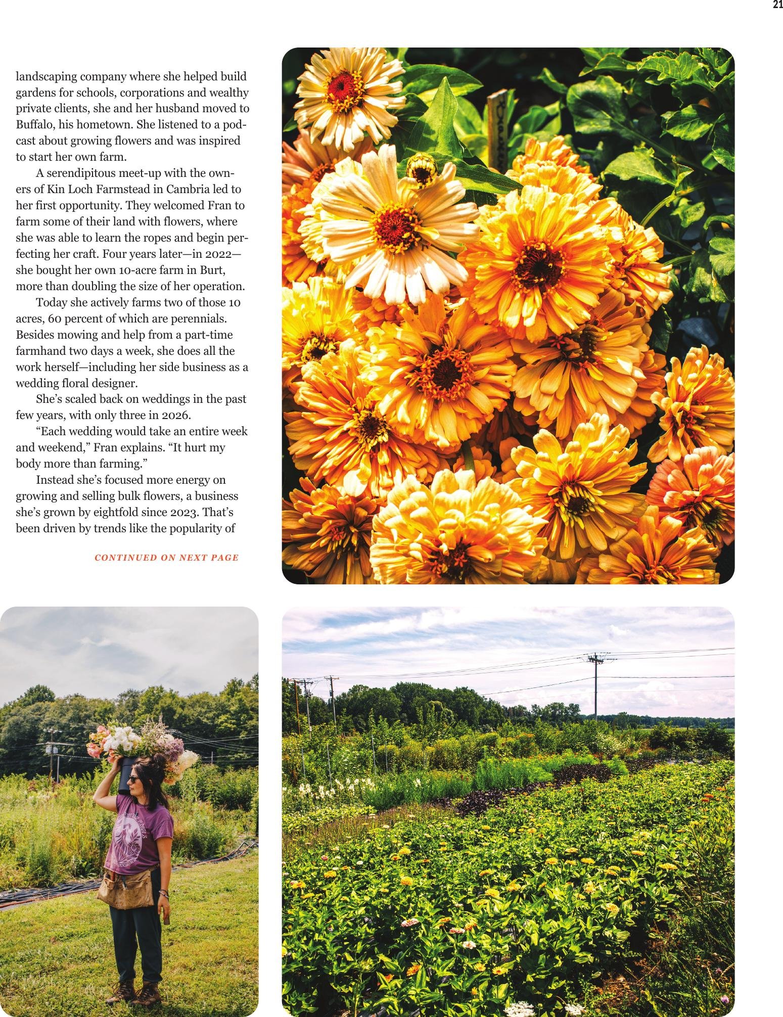 Heirloom Soul Florals in Buffalo Magazine. Flower farm in WNY with disco ball in greenhouse. Flower farmer in WNY sells bulk buckets for DIY weddings. Wholesale flowers from a local flowers farm.