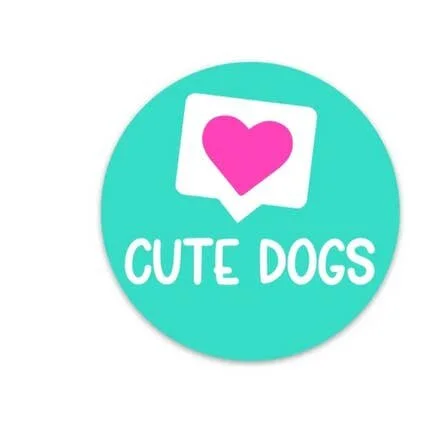 CUTE DOGS STICKER .jpeg