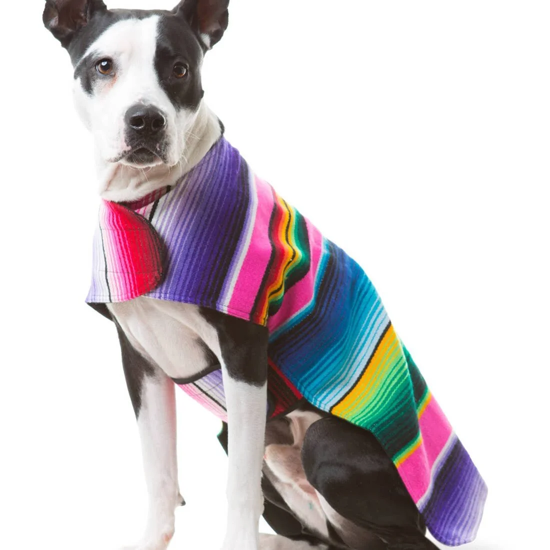 Dog Poncho From Mexican Serape Blanket - Pink L.jpeg
