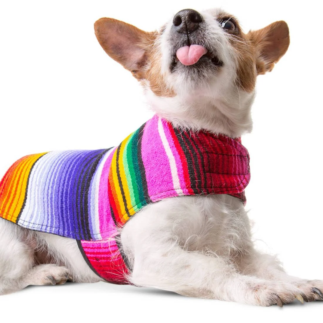 Dog Poncho From Mexican Serape Blanket - Pink M.jpeg