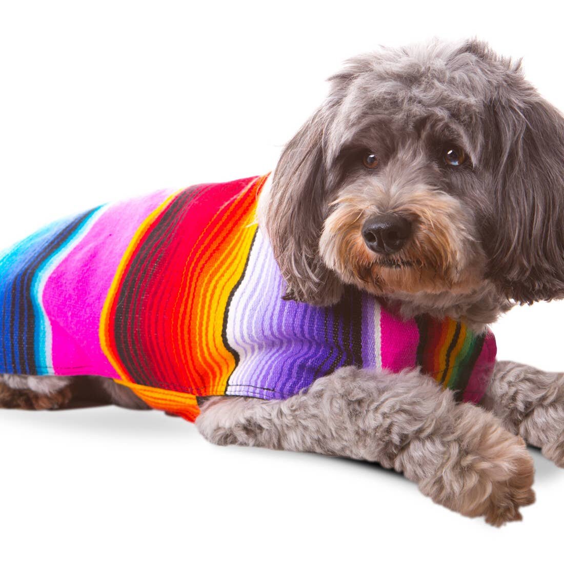 Dog Poncho From Mexican Serape Blanket - Pink XL.jpeg