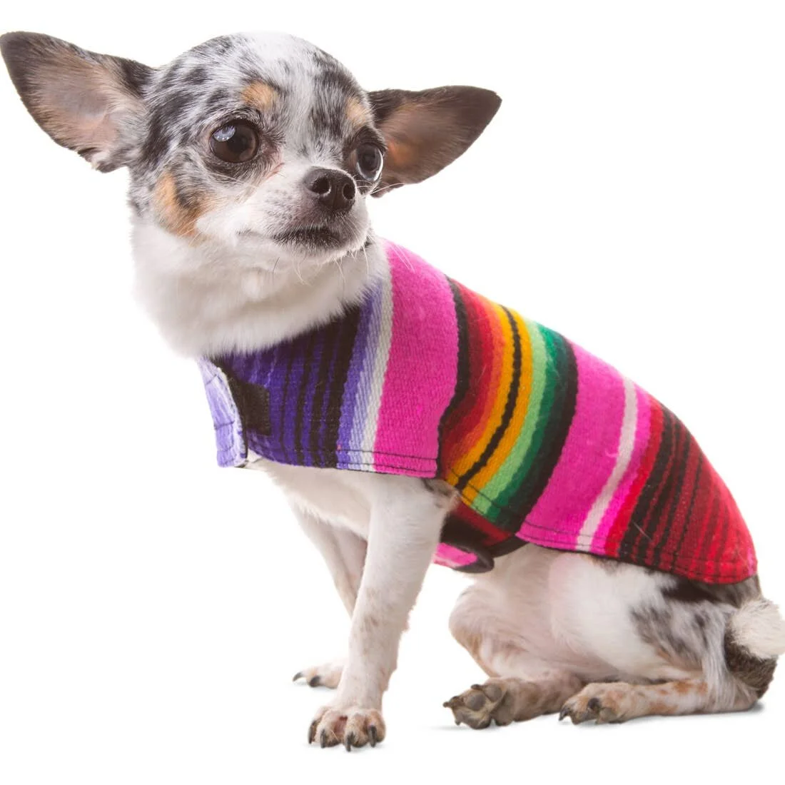 Dog Poncho From Mexican Serape Blanket - Pink XXS.jpeg