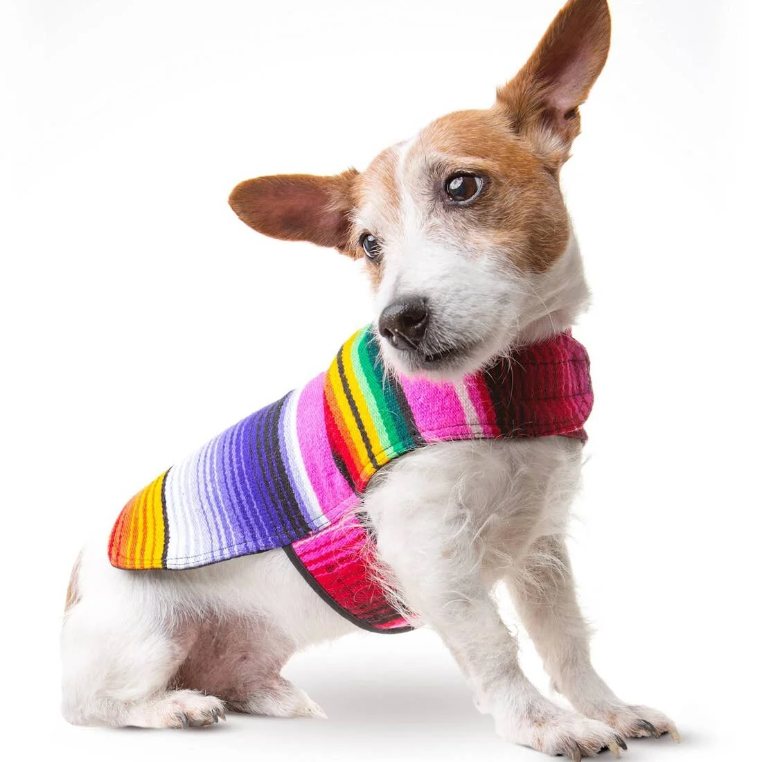 Dog Poncho From Mexican Serape Blanket - Pink.jpeg