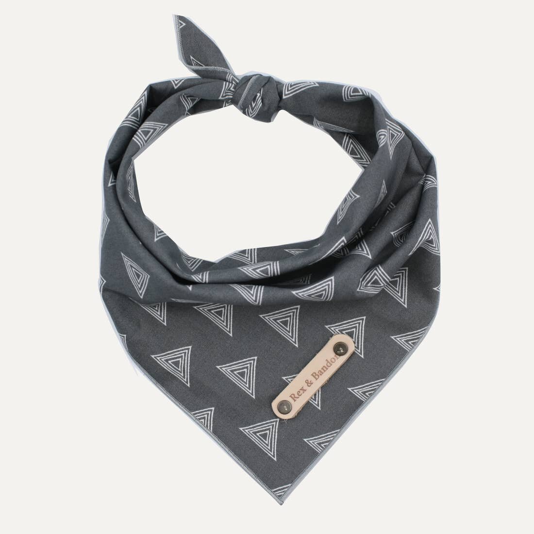 Luke - Triangle Dog Bandana .jpeg