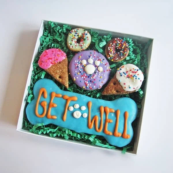 Get Well Dog Treat Gift Box - Dog Treat.jpeg