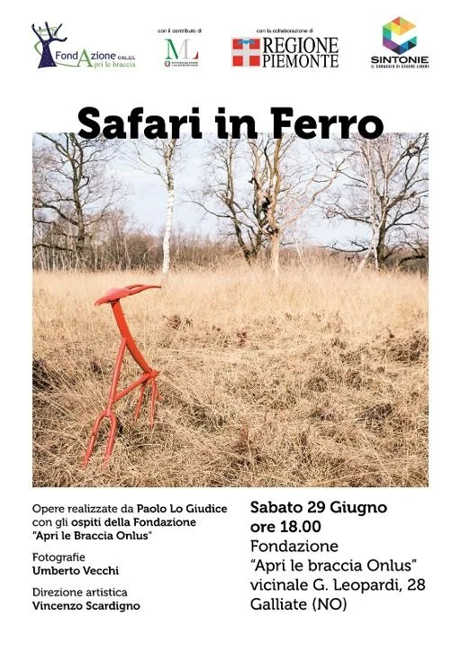 "Safari in ferro "