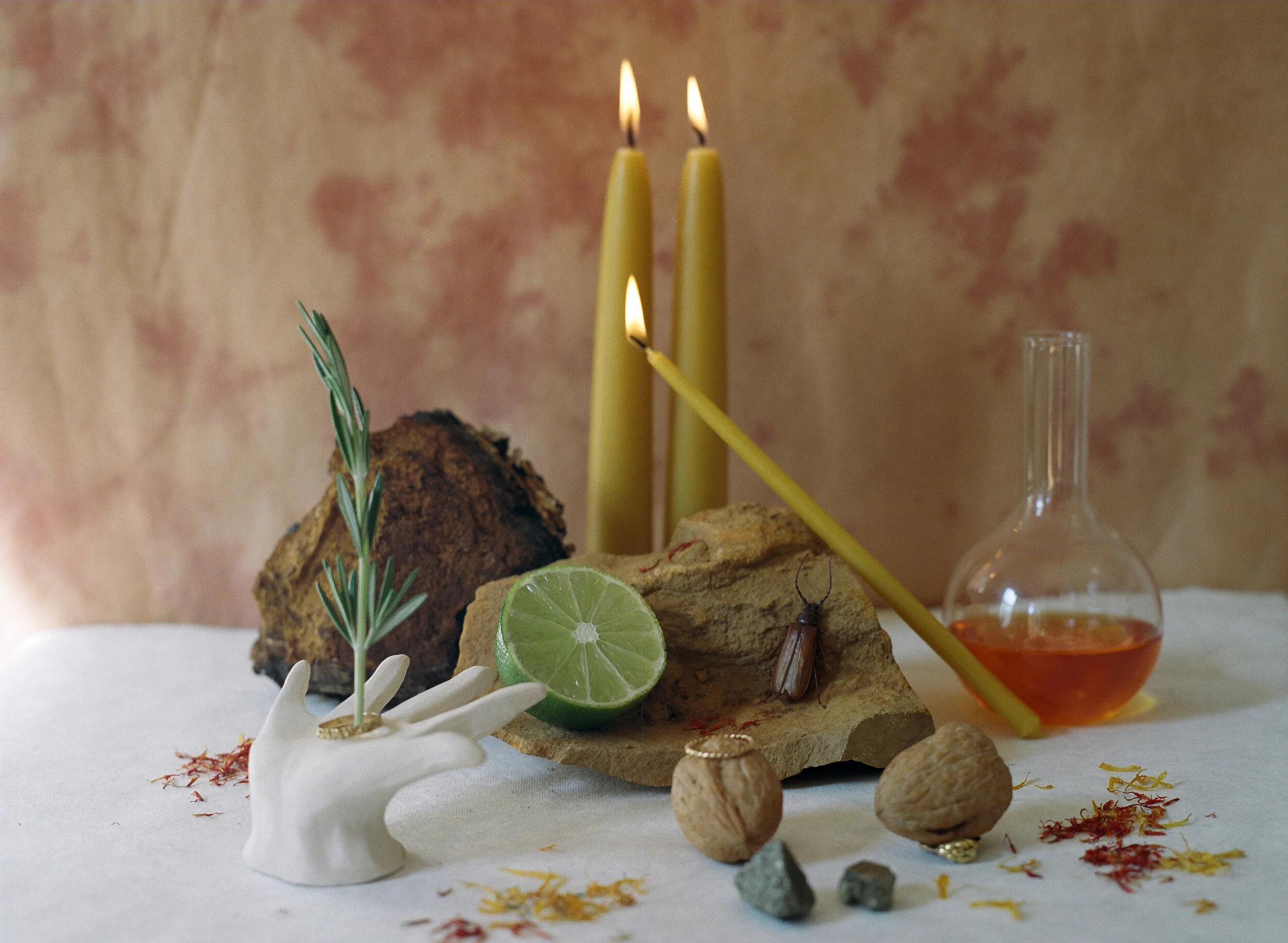 Photograph by Jill Schweber