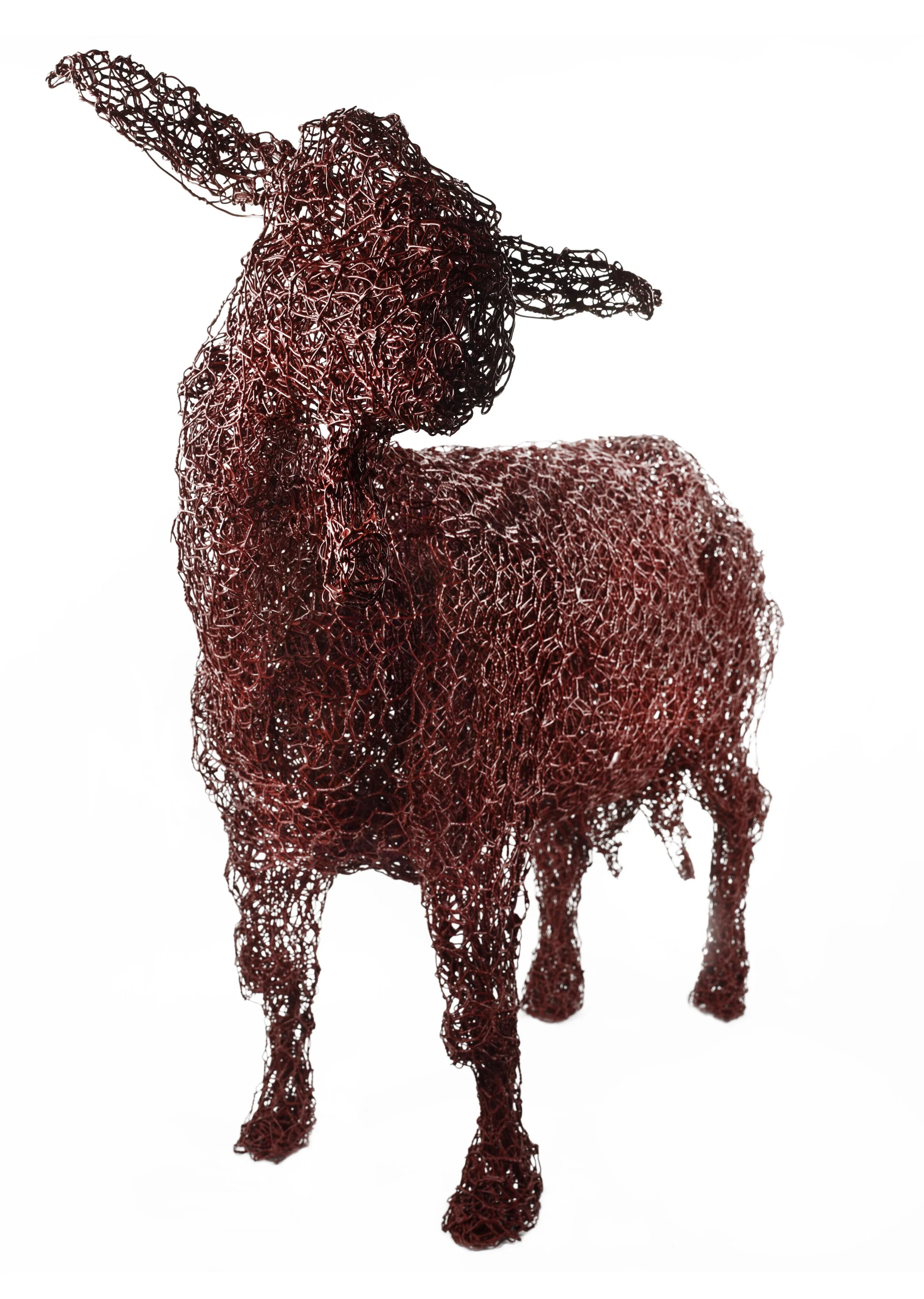 Goat, Aryshire and Arran craft development initiative