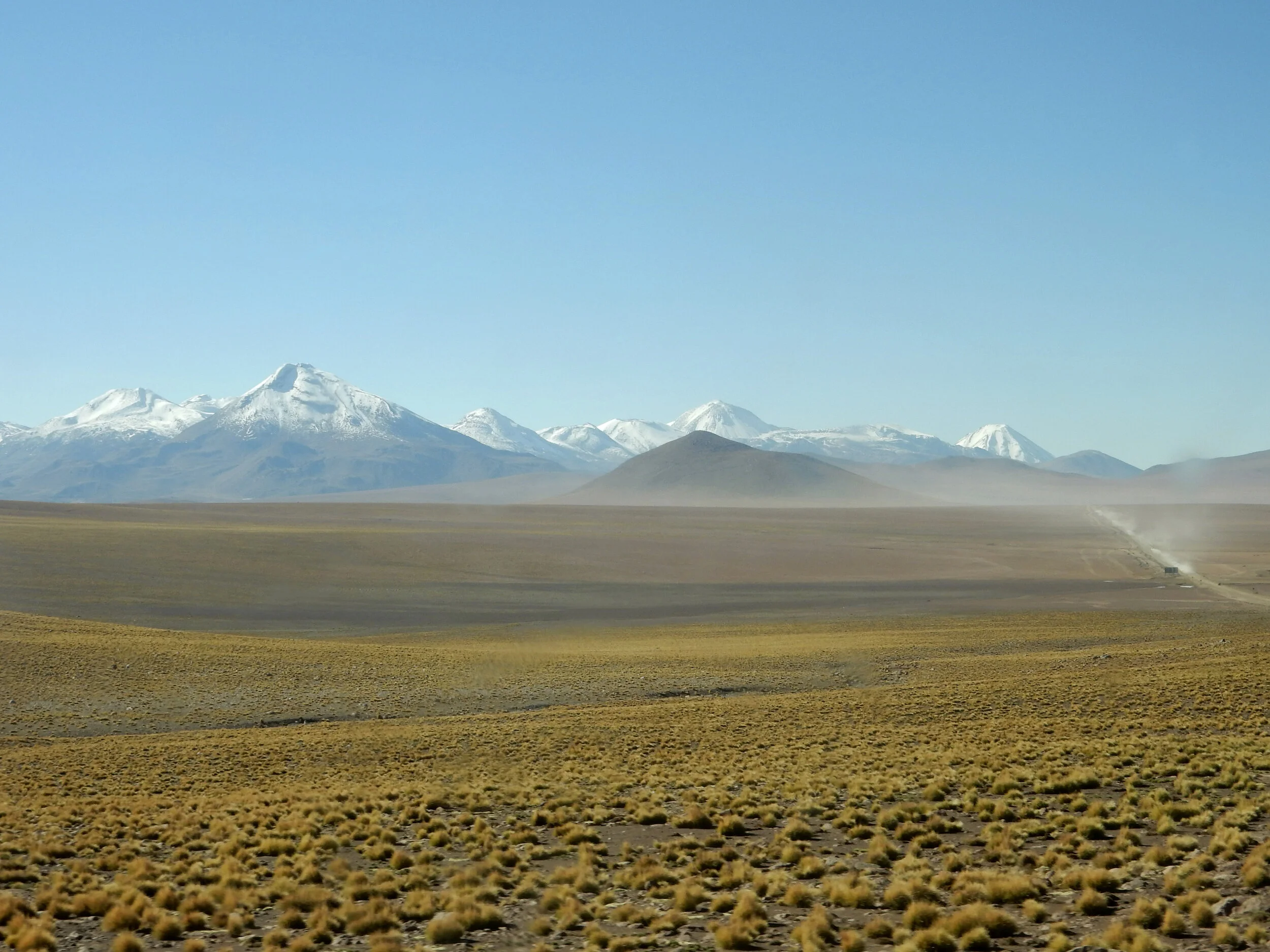 Alto plano, Atacama desert, Chile