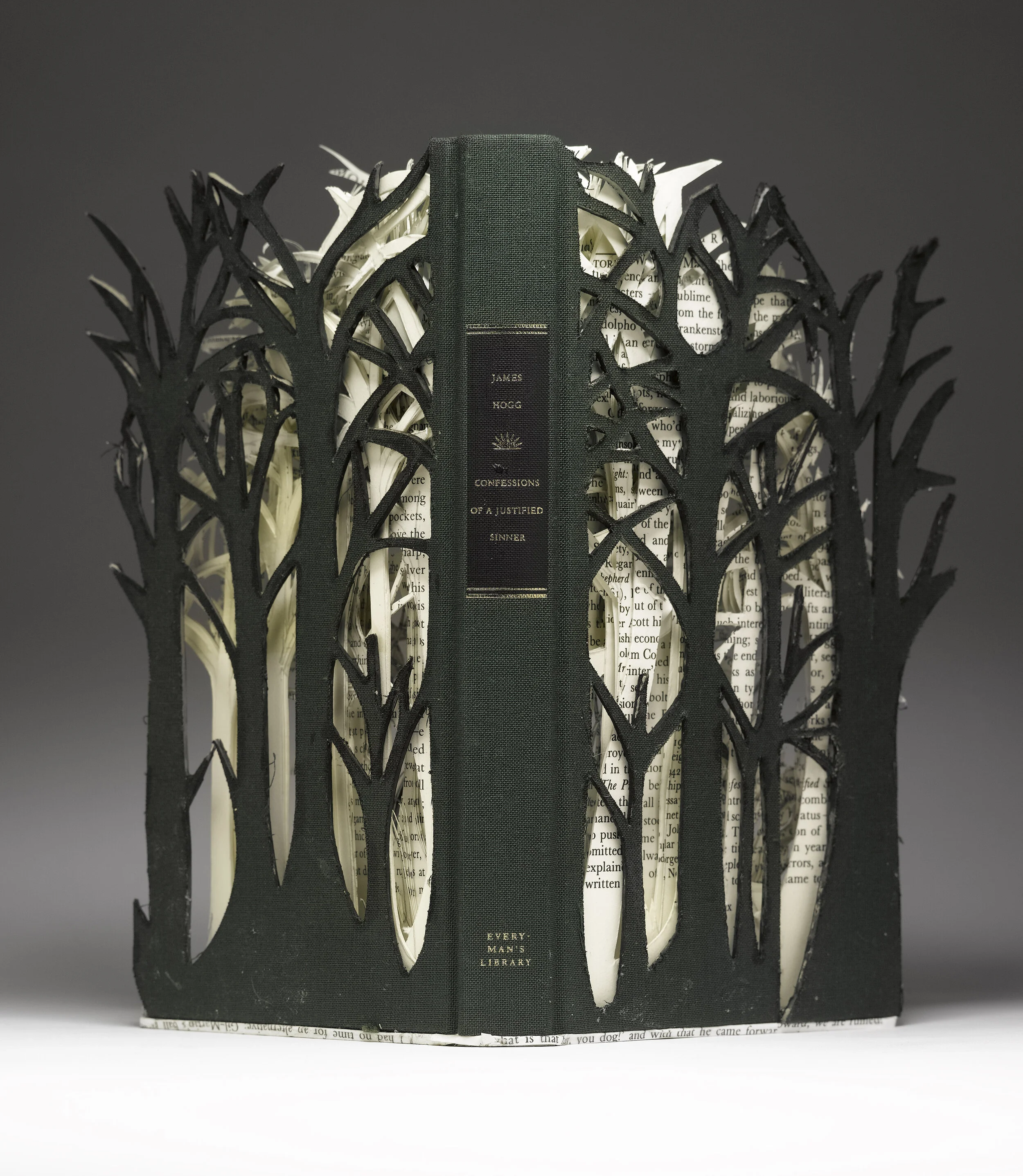 Anonymously gifted paper sculpture, Edinburgh City of Literature