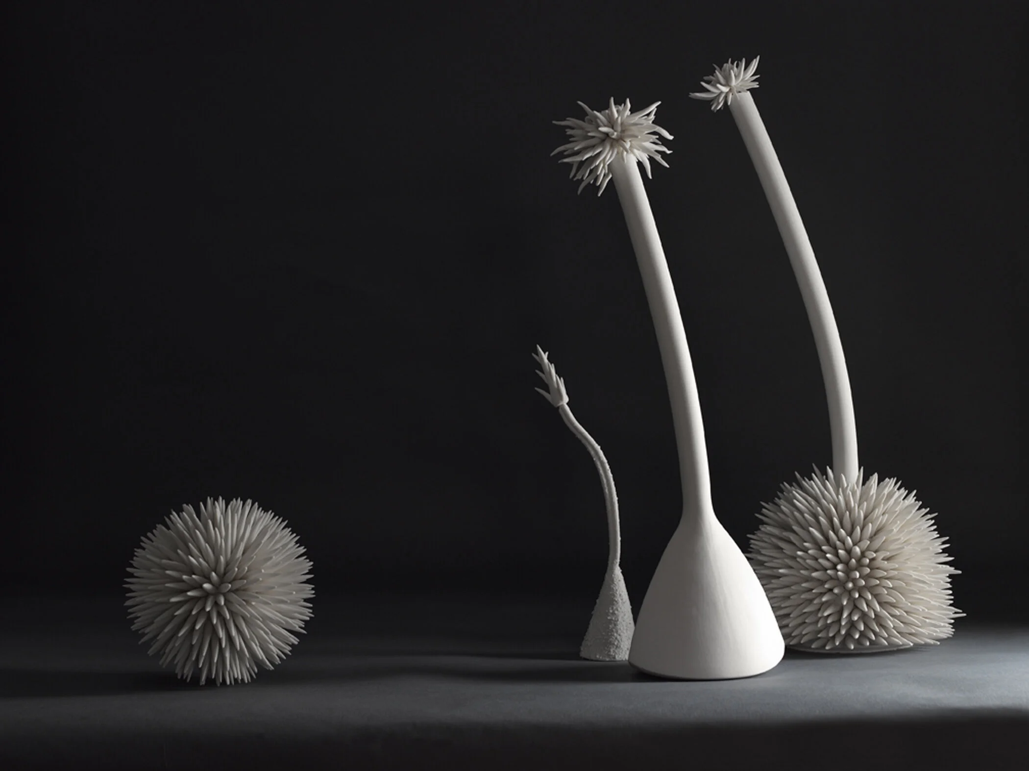 Ceramic plants, Lorna Fraser, City Arts Centre, Museums and Galleries, City of Edinburgh