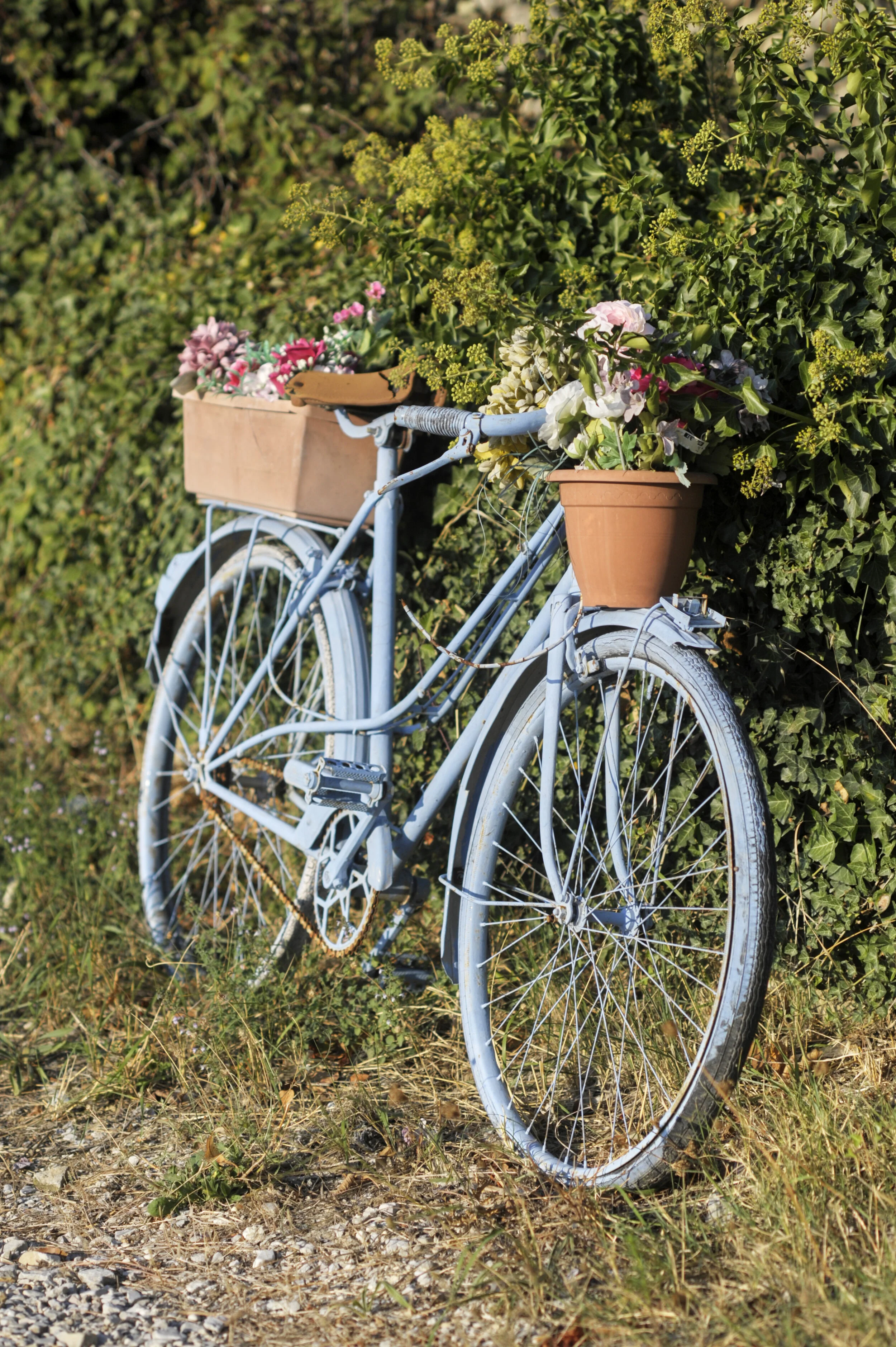 Bicycle, Provence Alpes-Maritime