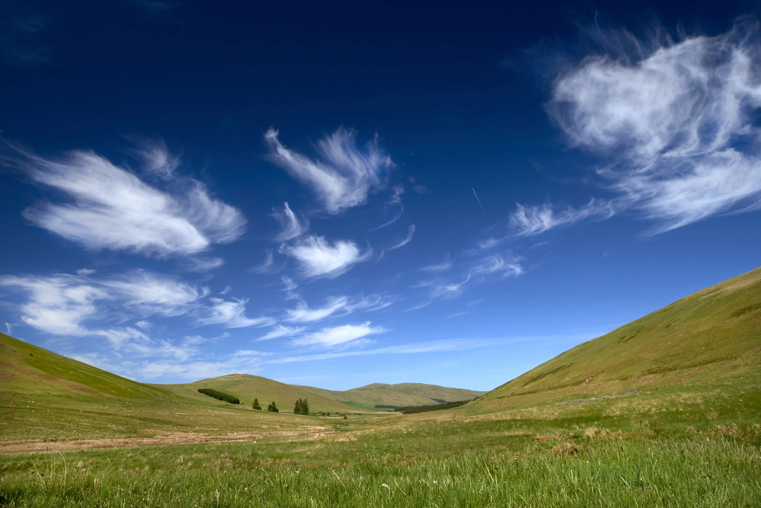 Cirrus Fibratus clouds, Yarrow Valley, Scottish Borders