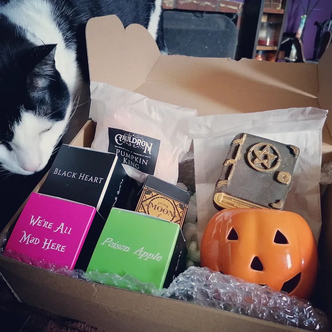 A friend if mine got me a whole HAUL from @cauldron.candles for my birthday! I've been meaning to buy from them for a while, as I love wax melts and they're an Irish business. I'm delighted with all of it.
Also featuring the stinky cat boy Casper
#wa