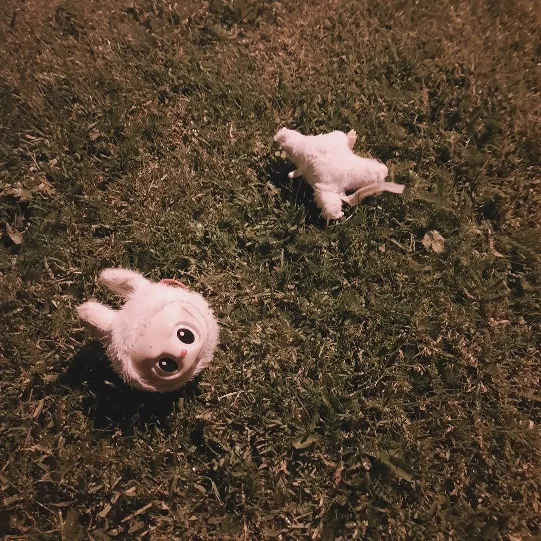There was a beheaded labubu in the group in my estate last night. Felt symbolic.