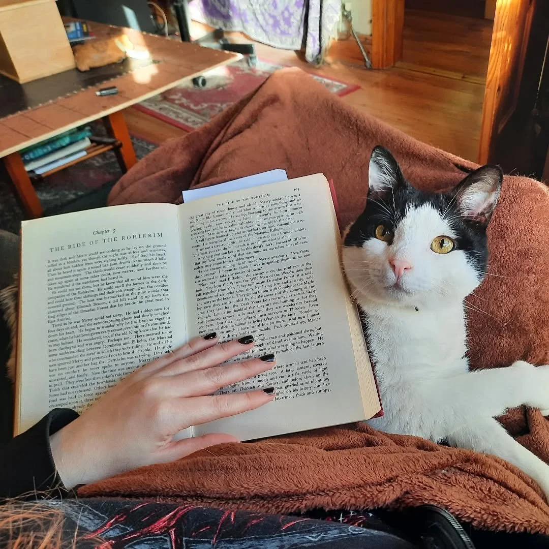 I'll finish #lordoftherings by the end of the year if it kills me