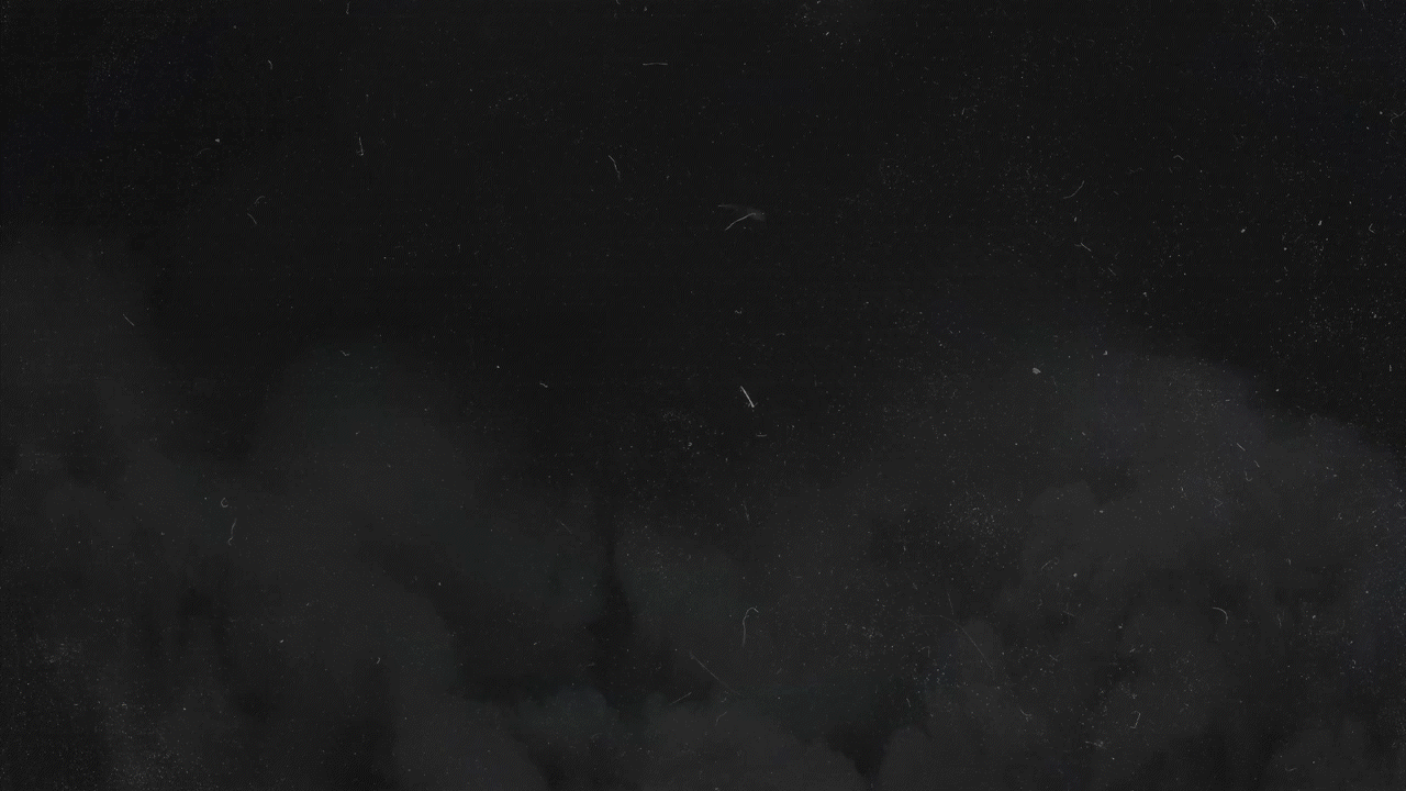 Gridiron Glory — All-GG Team Logo Animation.gif