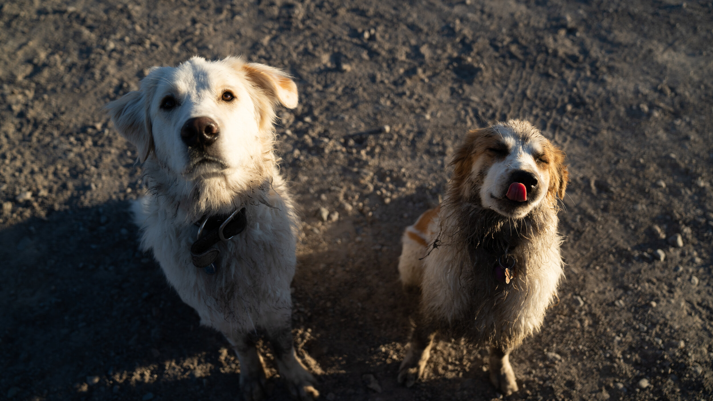 SUNRISE FLYSFISHING-170.jpg