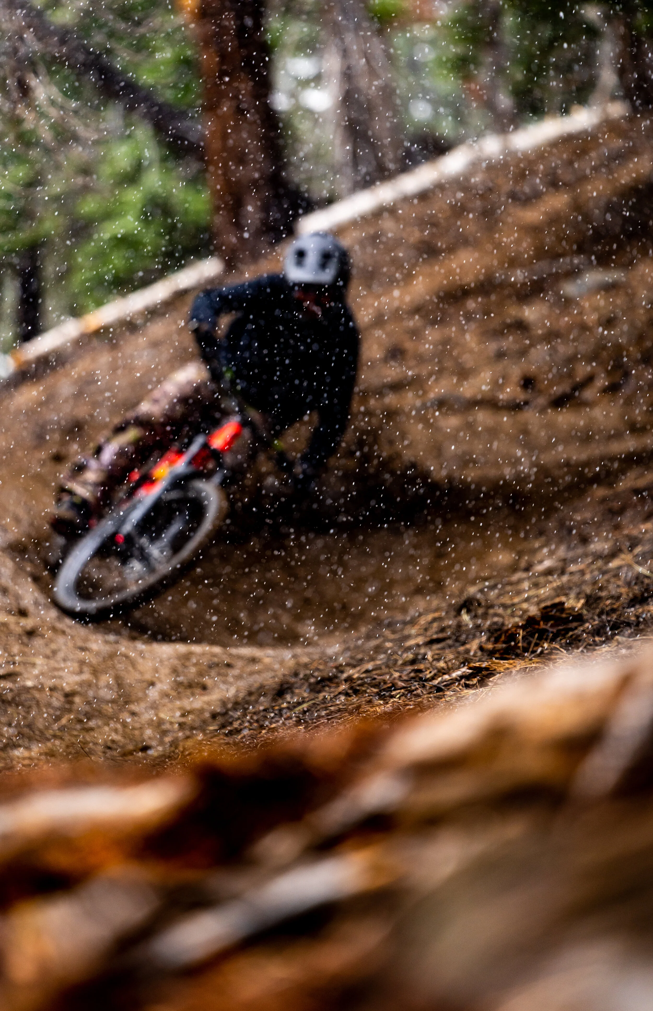 MT BIKE SNOW-1.jpg