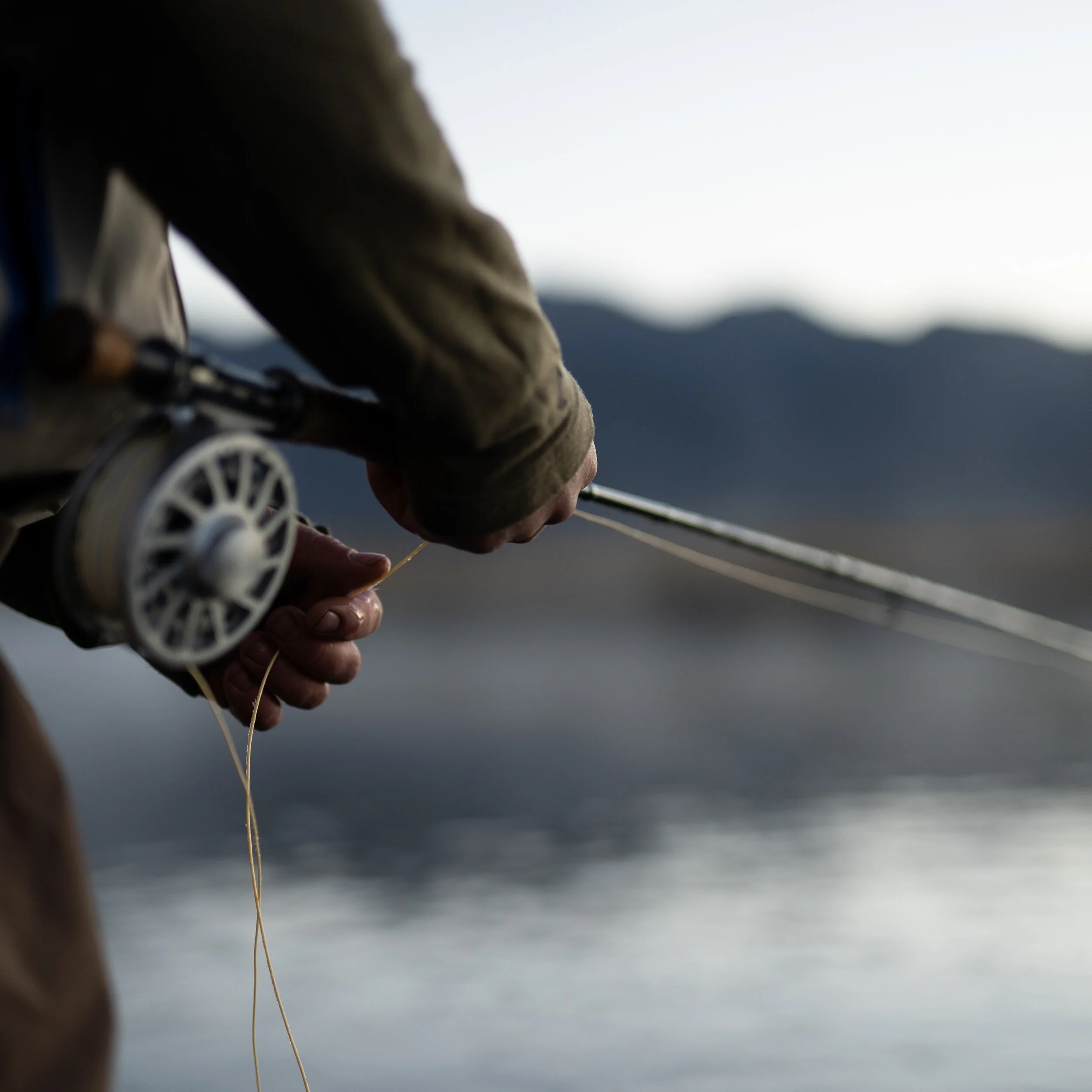 1X1 FLYFISH SUNRISE-74.jpg