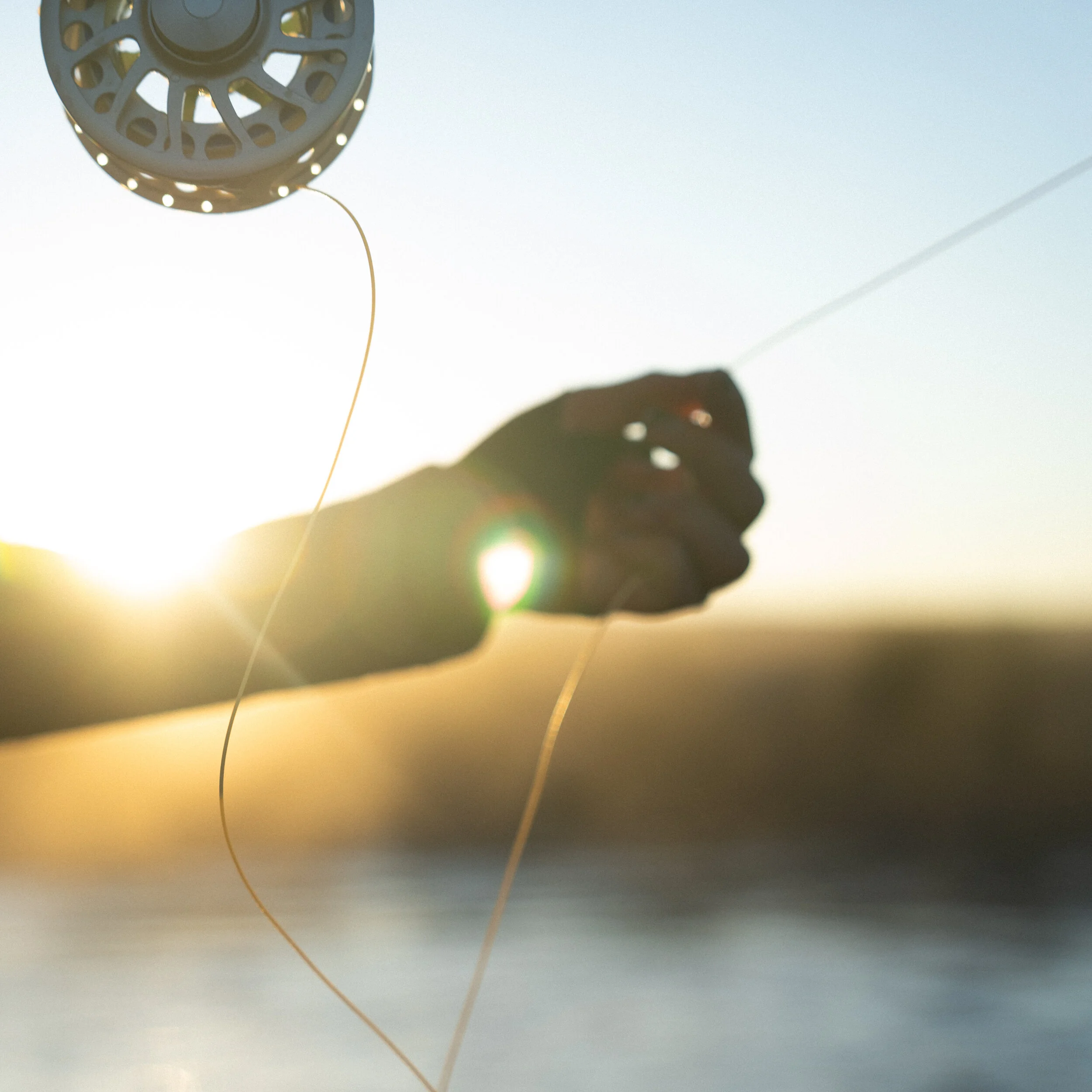 1X1 FLYFISH SUNRISE-130.jpg