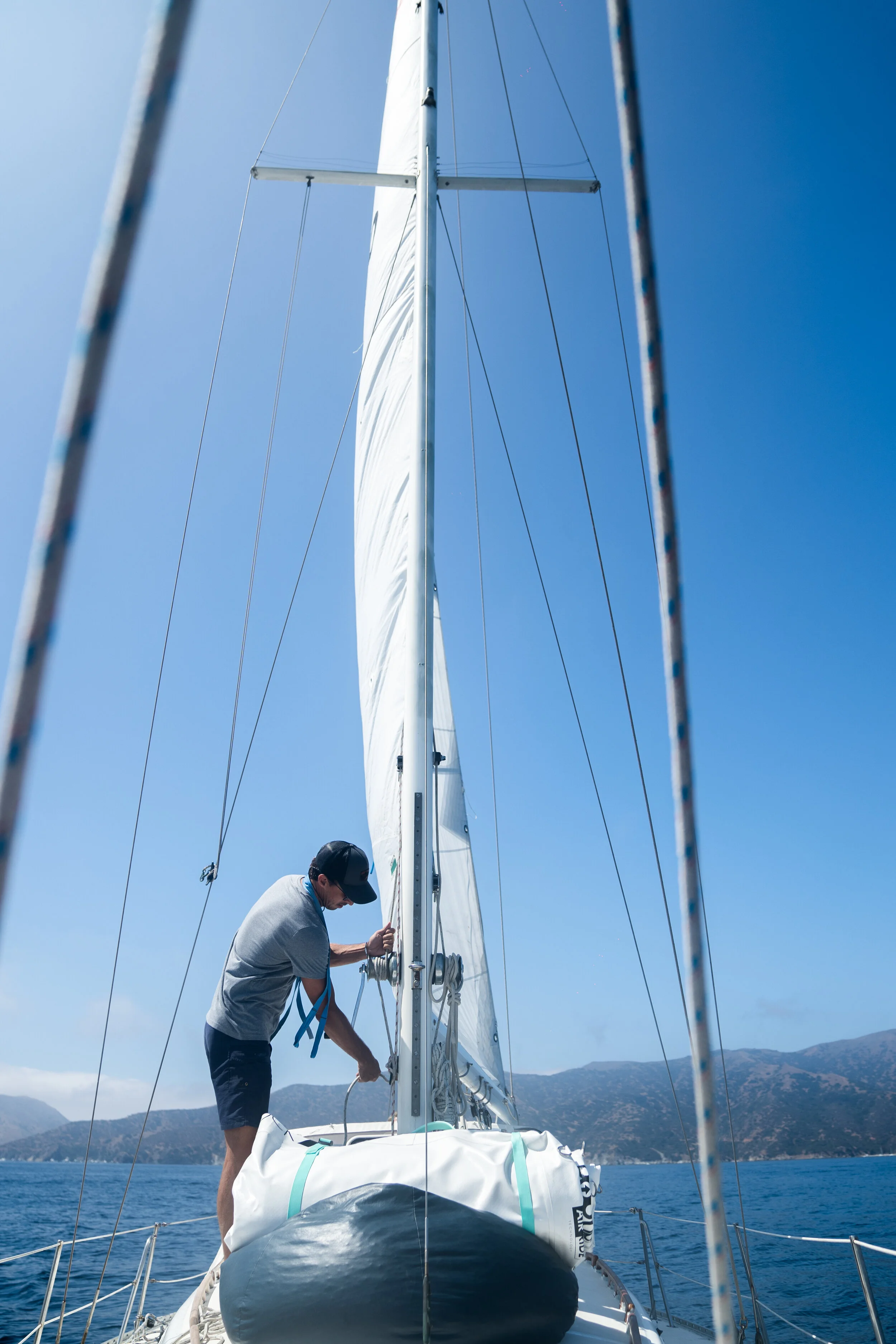 CATALINA FUN204.jpg