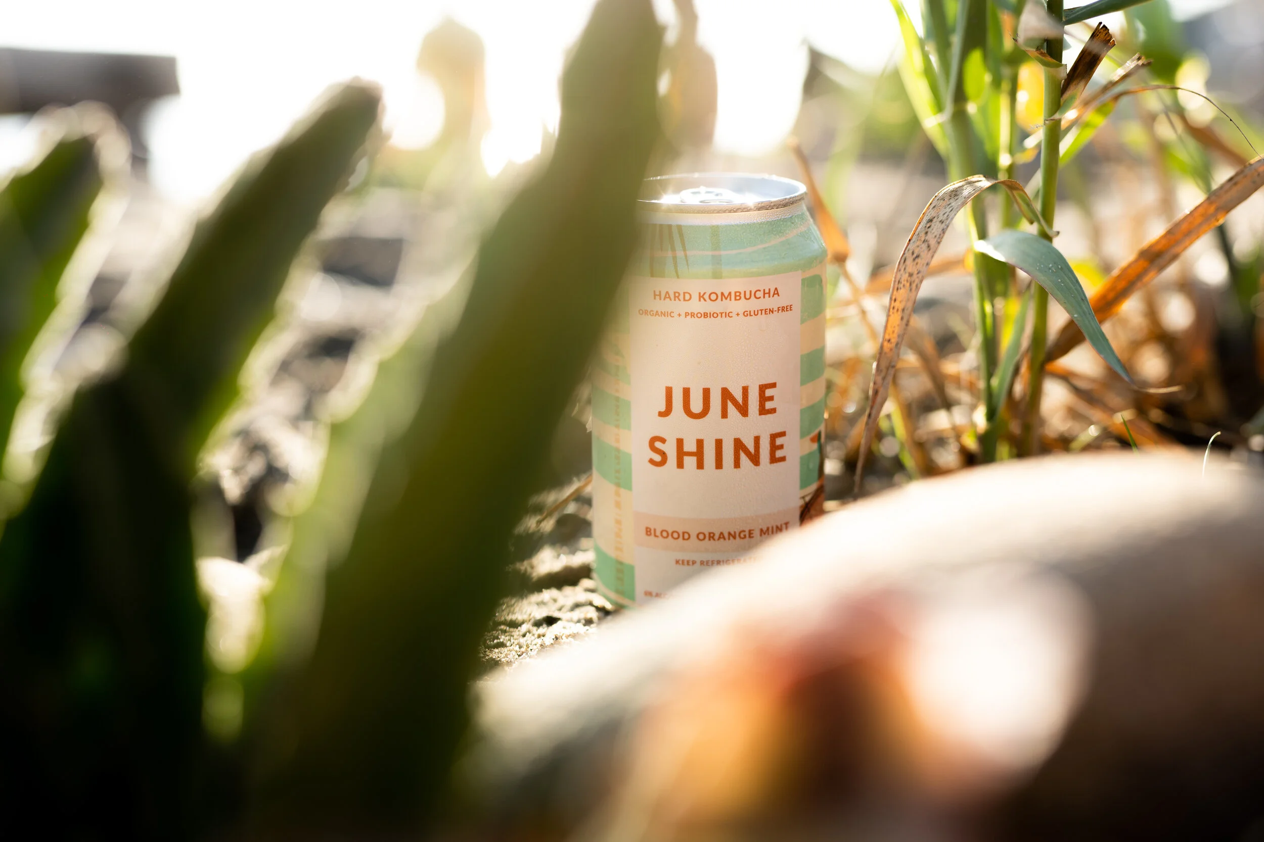 SAN O PRODUCT-50.jpg