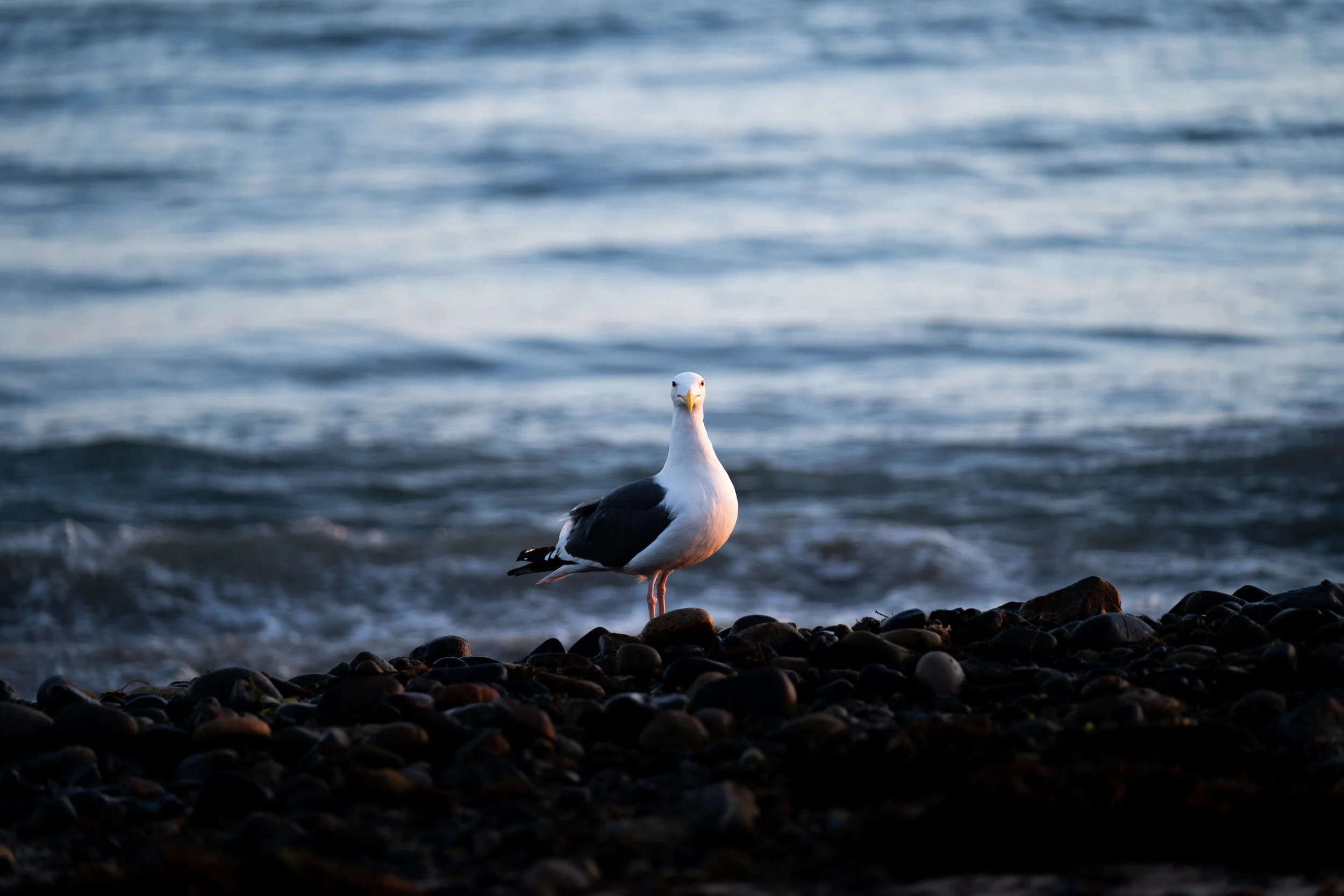SAN O PRODUCT-137.jpg