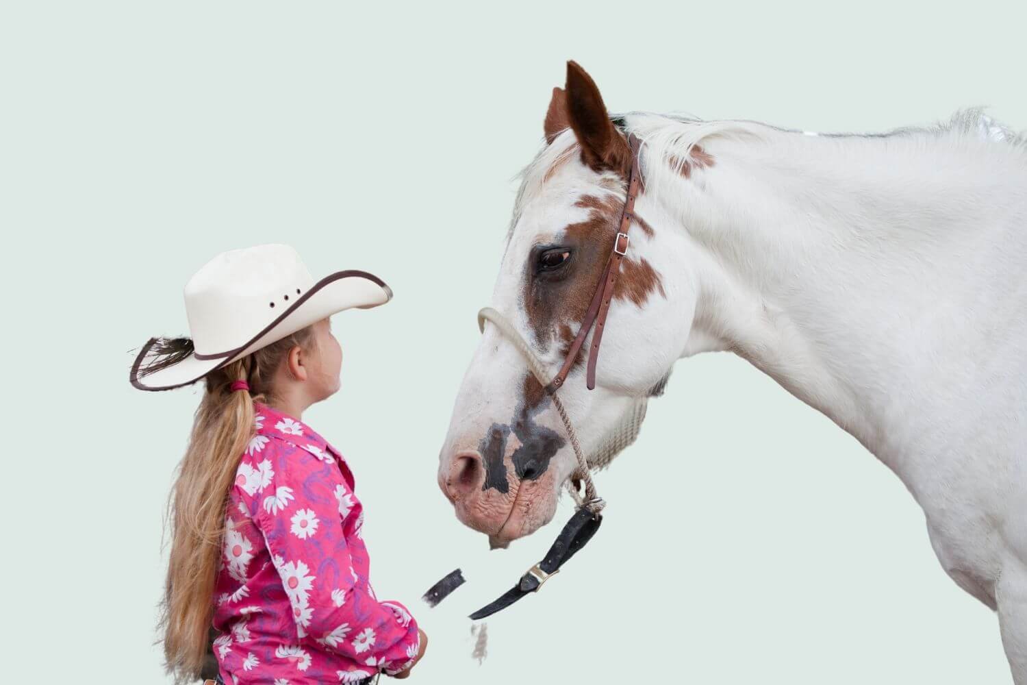 little cowgirl standing next to a white horse