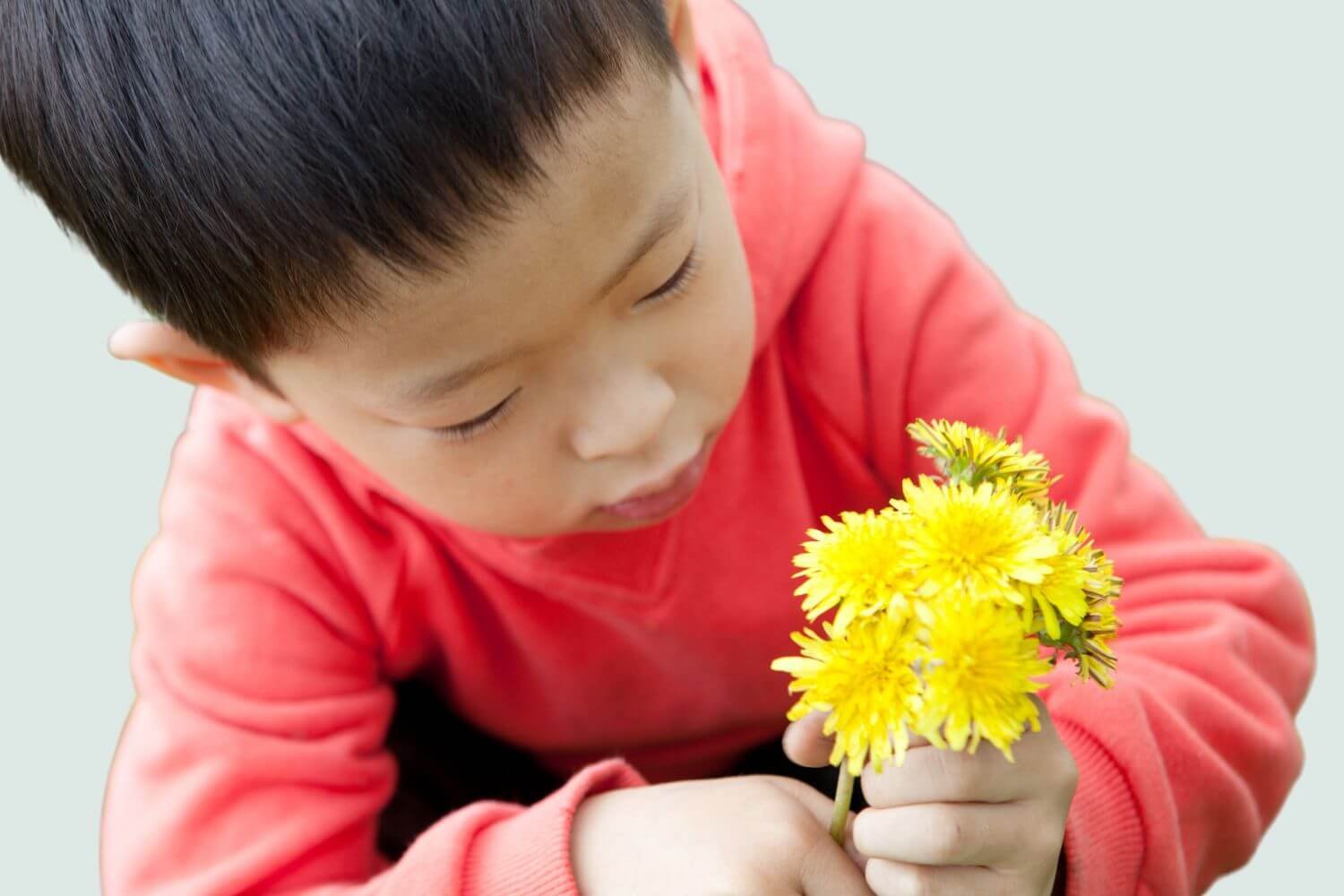 little boy holding dandelions